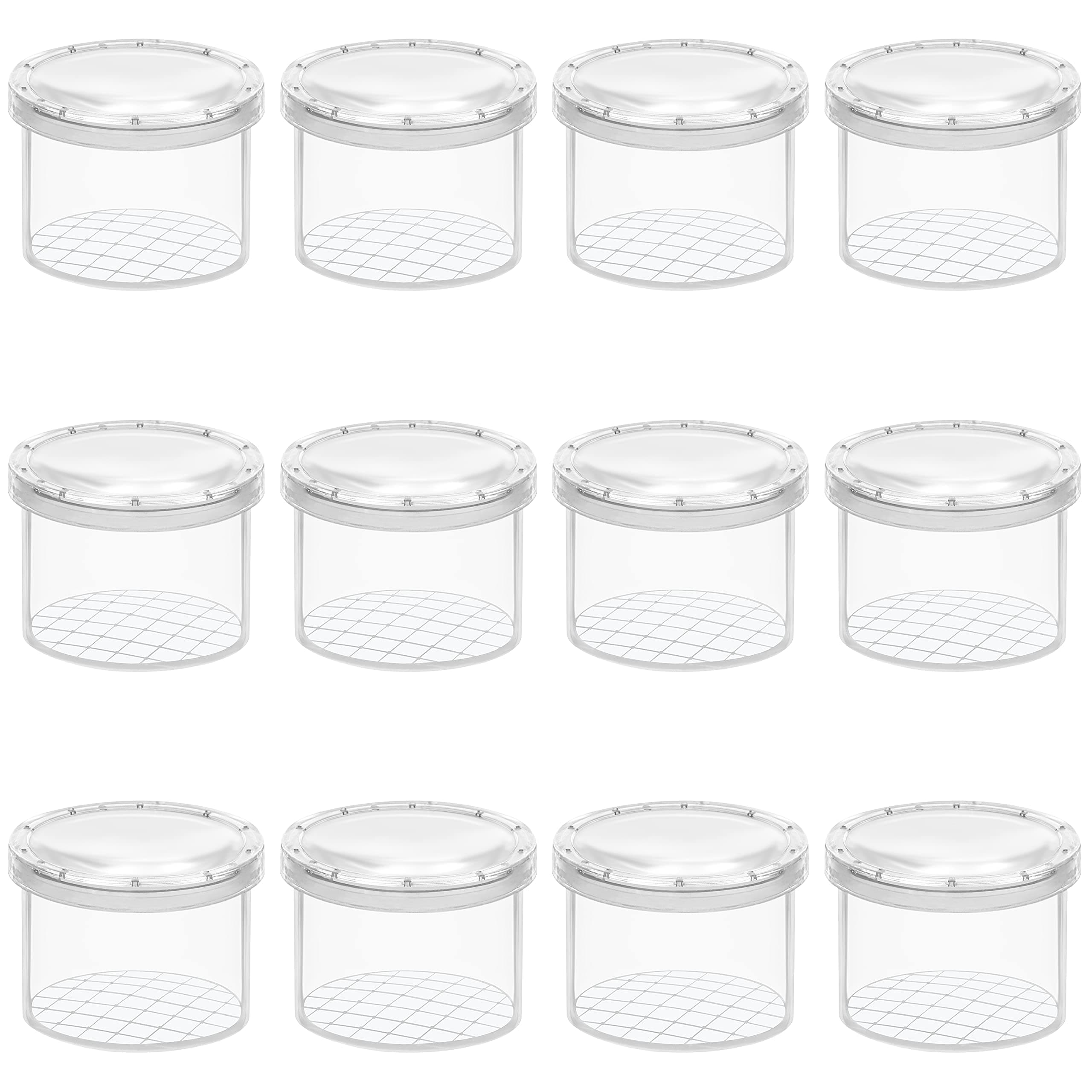 Belle Vous 12 Pack Magnifying Insect Container - Clear Observation Bug Box/Viewer - Portable Insect Cage for Science/Nature Exploration and Bug Collecting - Catching Tool/Toy for Adults and Children