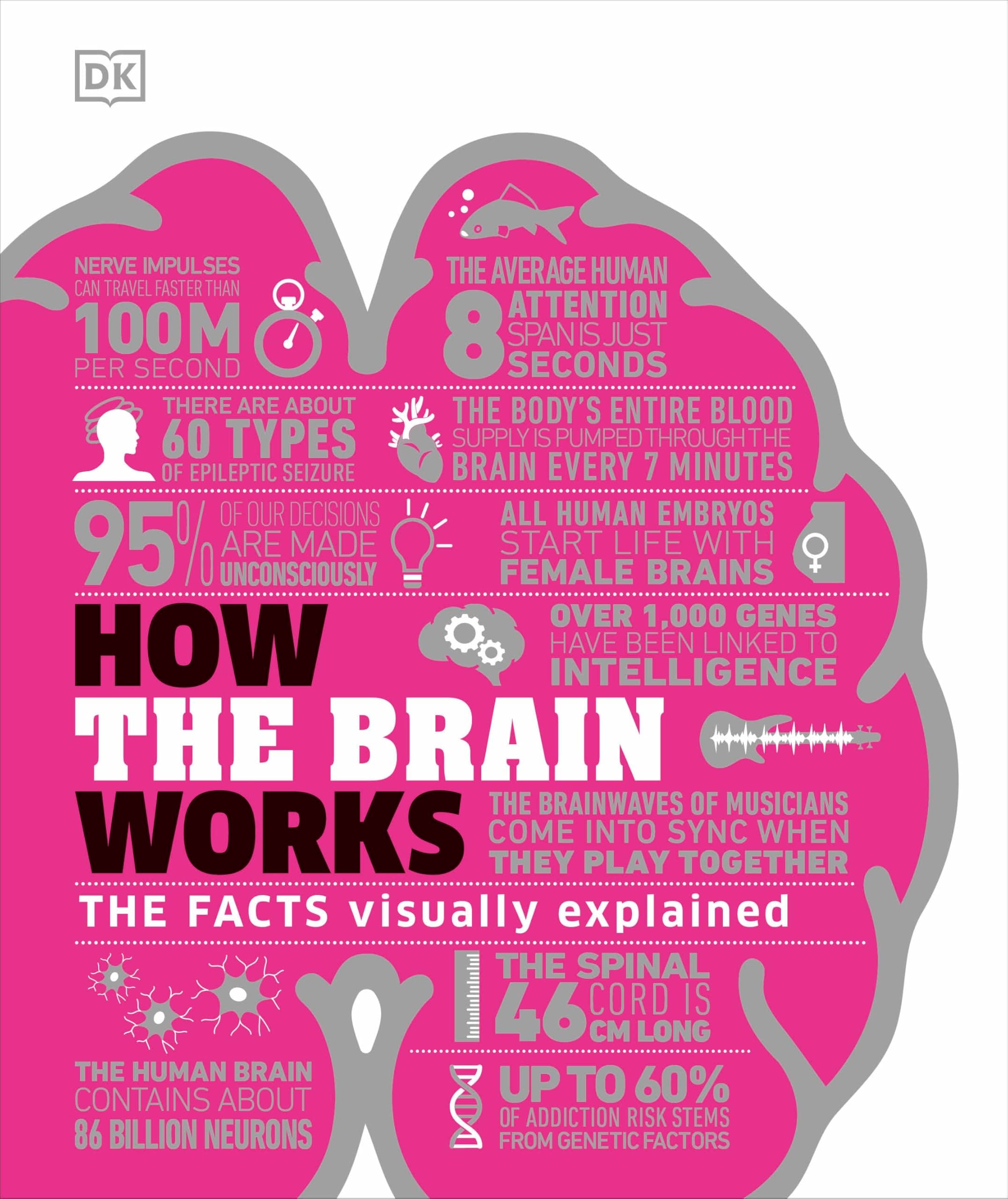 How the Brain Works: The Facts Visually Explained (How Things Work)