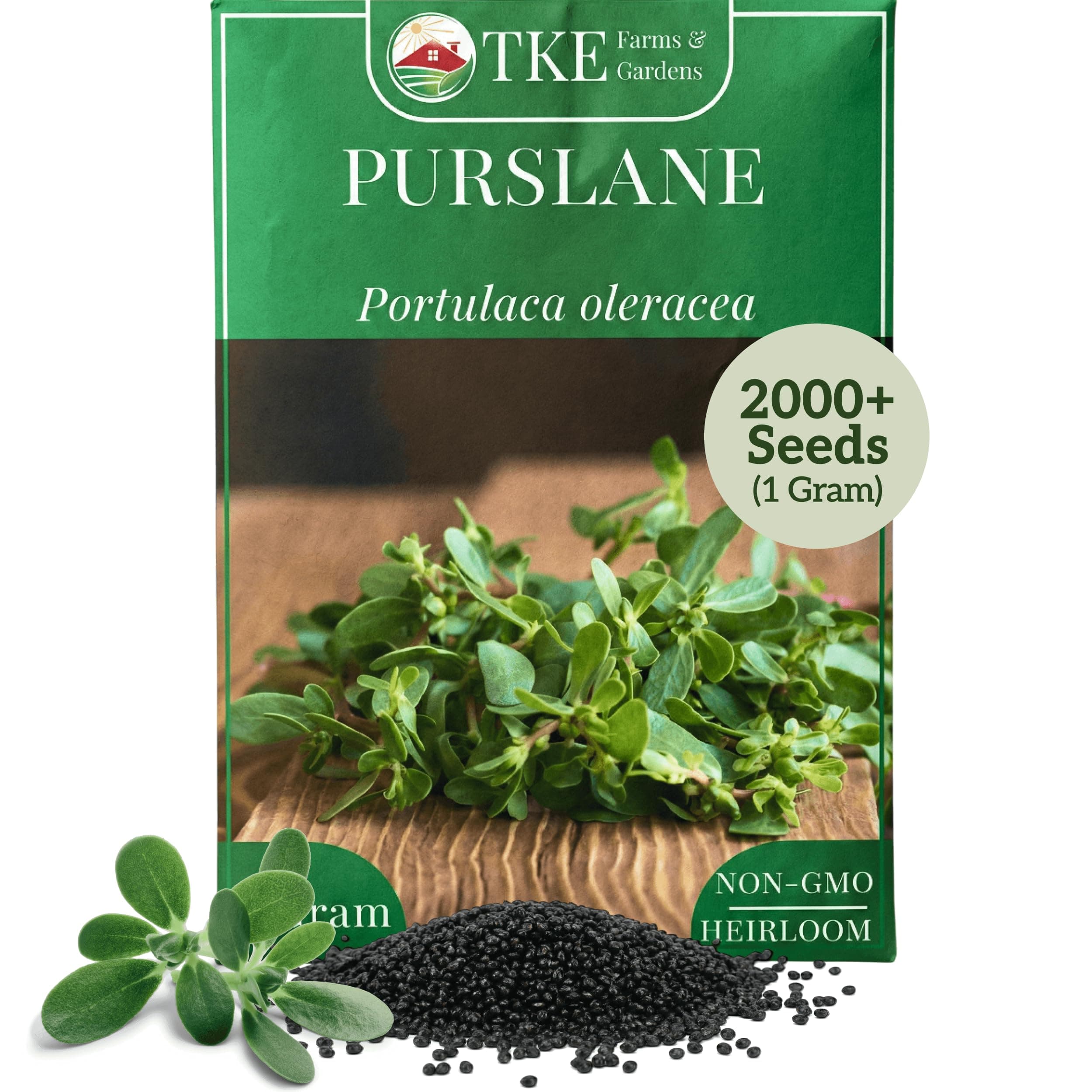 Green Purslane Seeds for Planting,1 Gram Approximately 2000 Heirloom Seeds, Portulaca oleracea