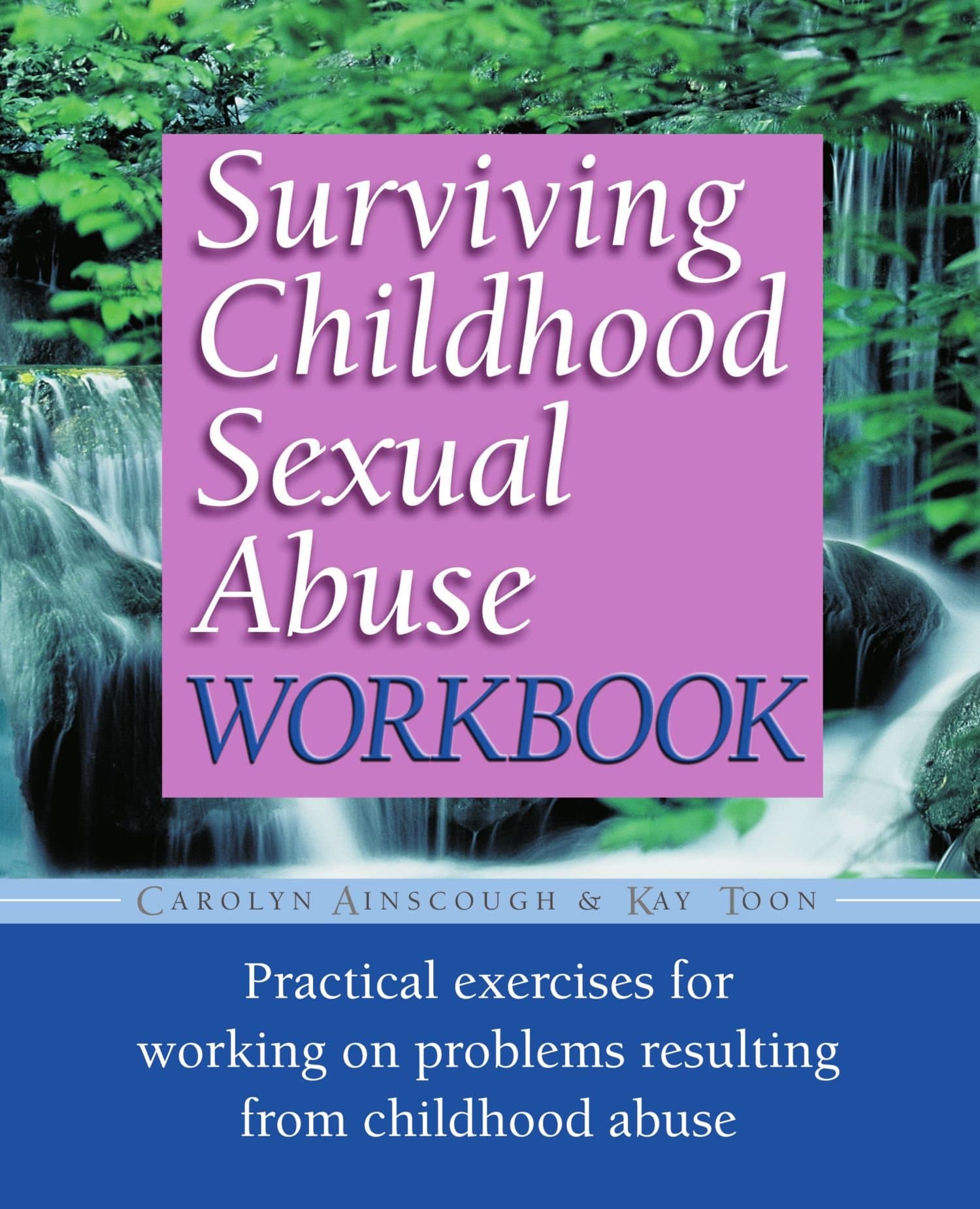 Surviving Childhood Sexual Abuse Workbook: Practical Exercises For Working On Problems Resulting From Childhood Abuse (Practical Companion to Surviving Childhood Sexual Abuse)