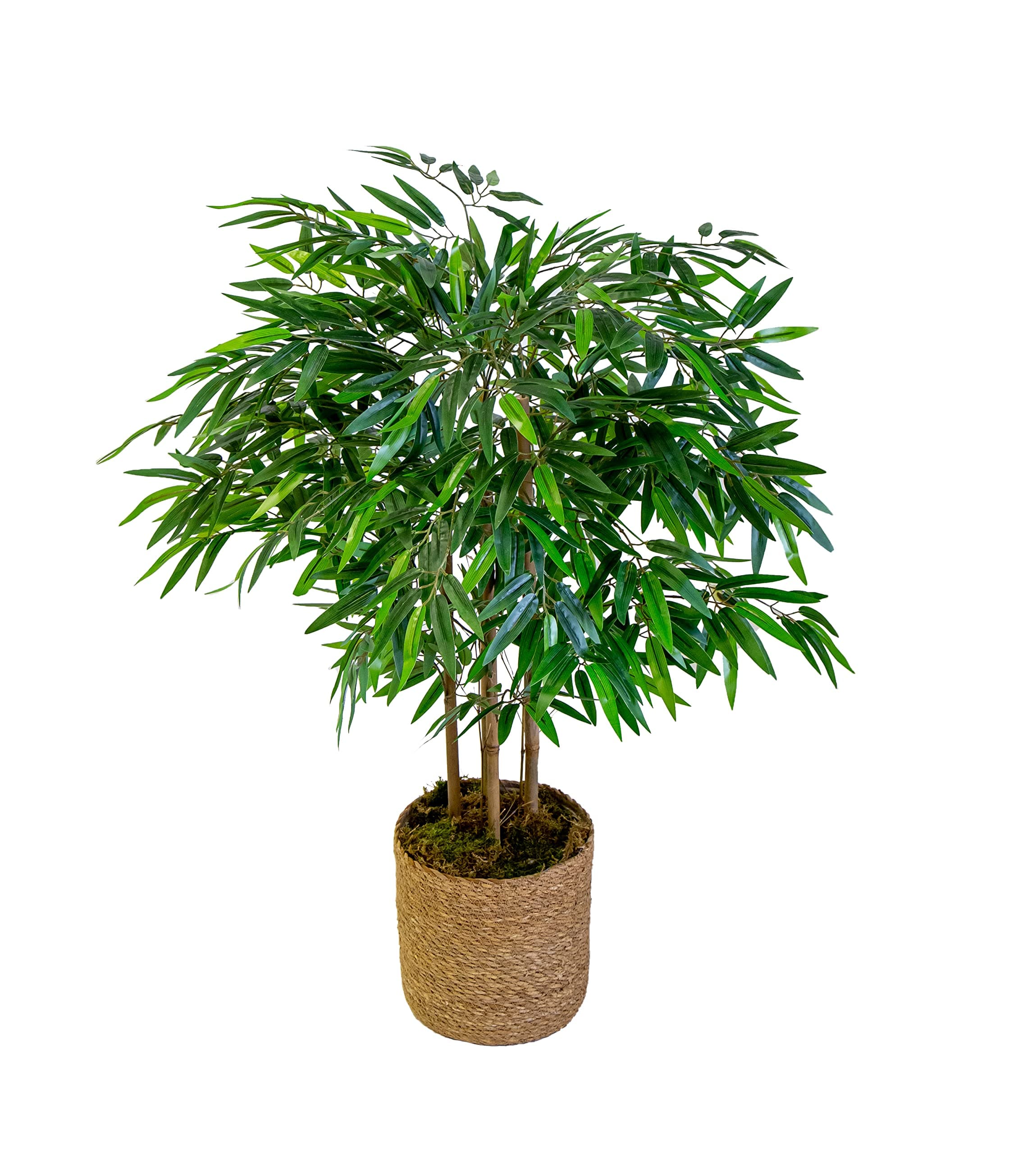 Maia Shop Artificial Bamboo Tree 105 cm for Home and Office Decoration, Tree, Hyper-realistic Decorative Artificial Plant with Natural Trunk and Canes Artificial bamboo, Decorative Artificial PlantClimatePartner certified