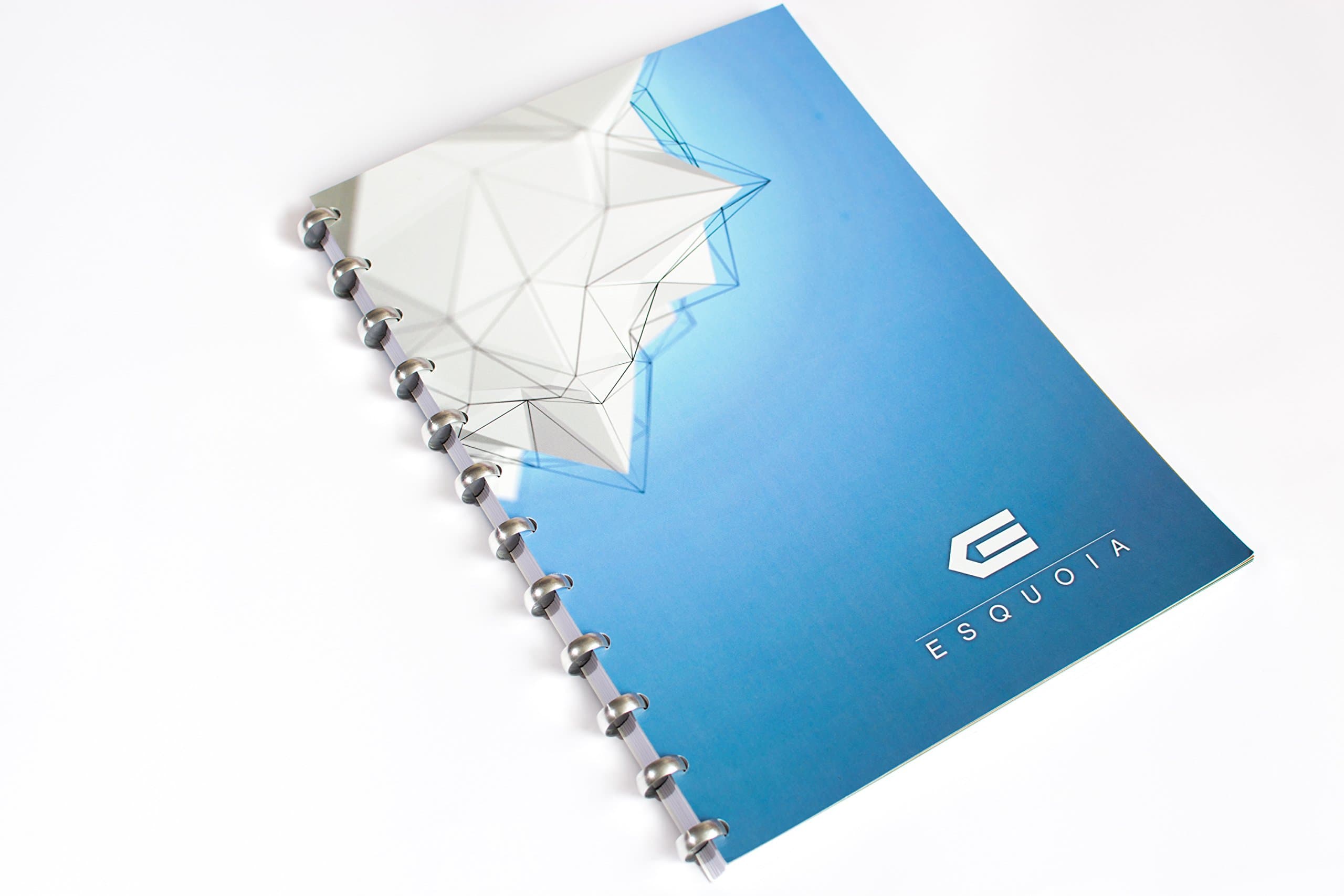 ESQUOIA ALUMINIUM A4 (MUSIC) Reusable dry erase notebook (Blue)