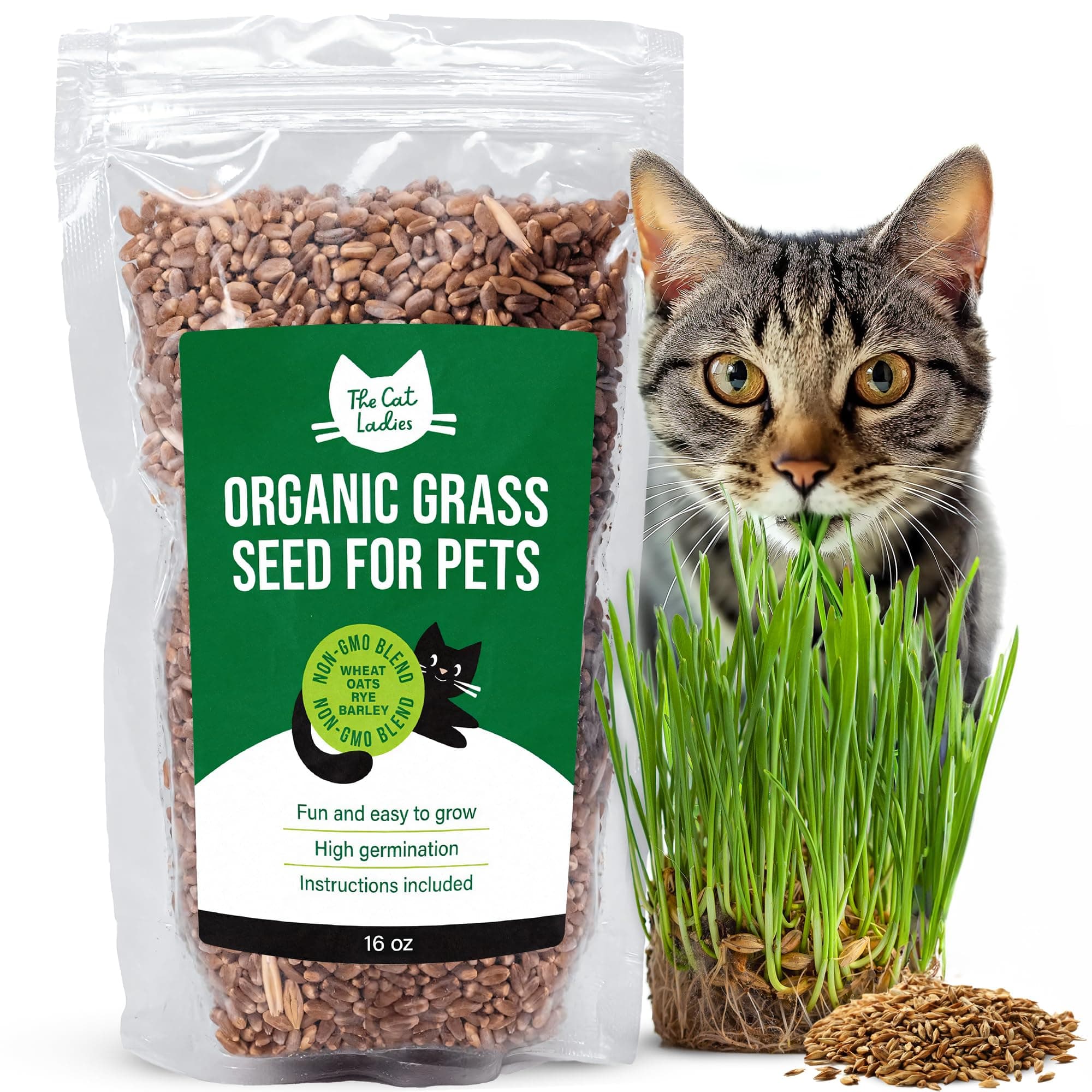- 100% Organic Cat Grass Seeds - Cat Grass for Indoor Cats - (Non GMO) 16 oz