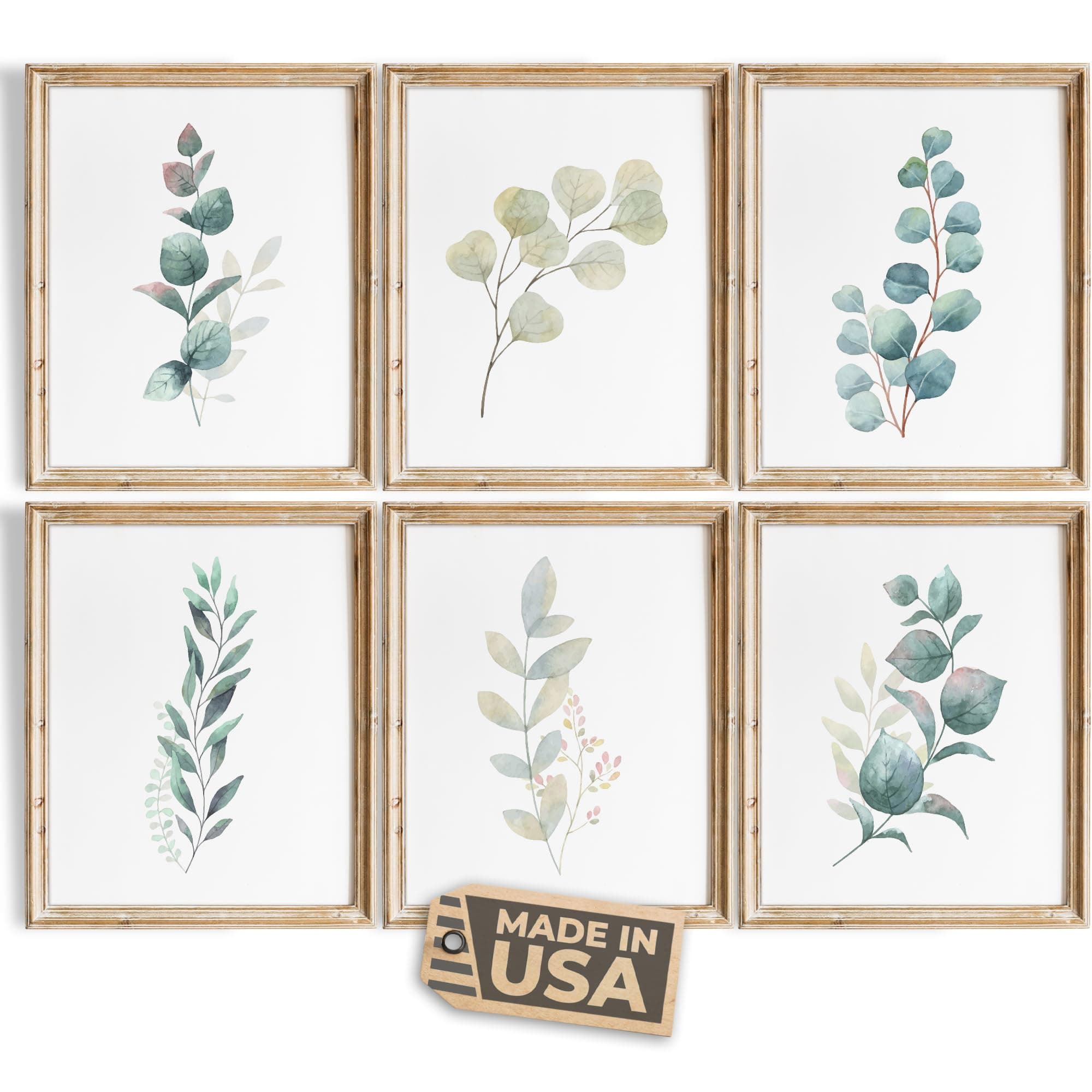 Botanical Prints Wall Art - Eucalyptus Leaves - (Set of 6) - Unframed - 8x10s | Kitchen Wall Décor | Kitchen Décor for Adding a Touch of Nature and Freshness to Your Kitchen Art | Botanical Wall Art