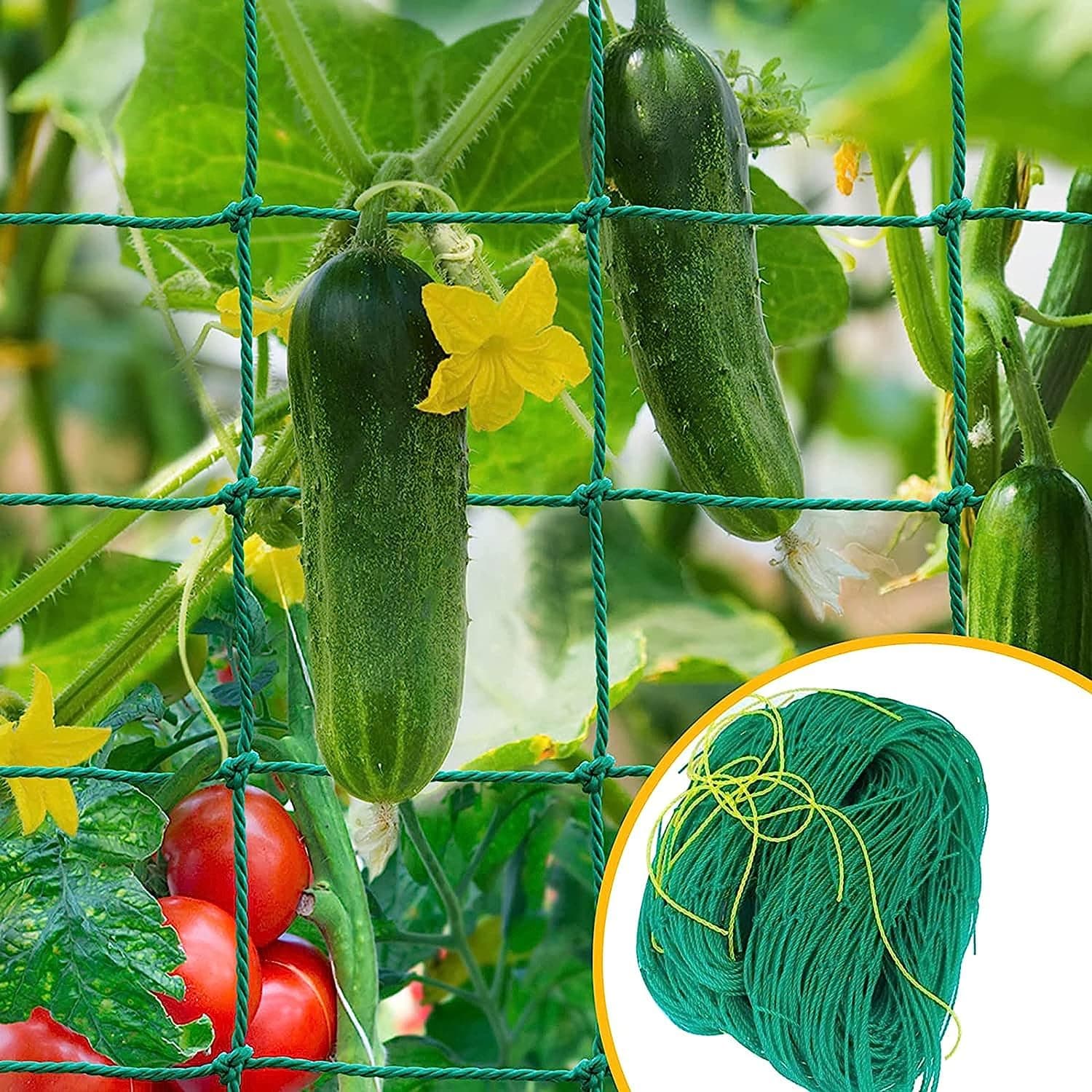 Plant Trellis Netting, Plant Climbing Net & Creeper Net Trellises Netting, Garden Trellis Netting for Climbing Plants Outdoor (6.6 X 9.8 Feet)