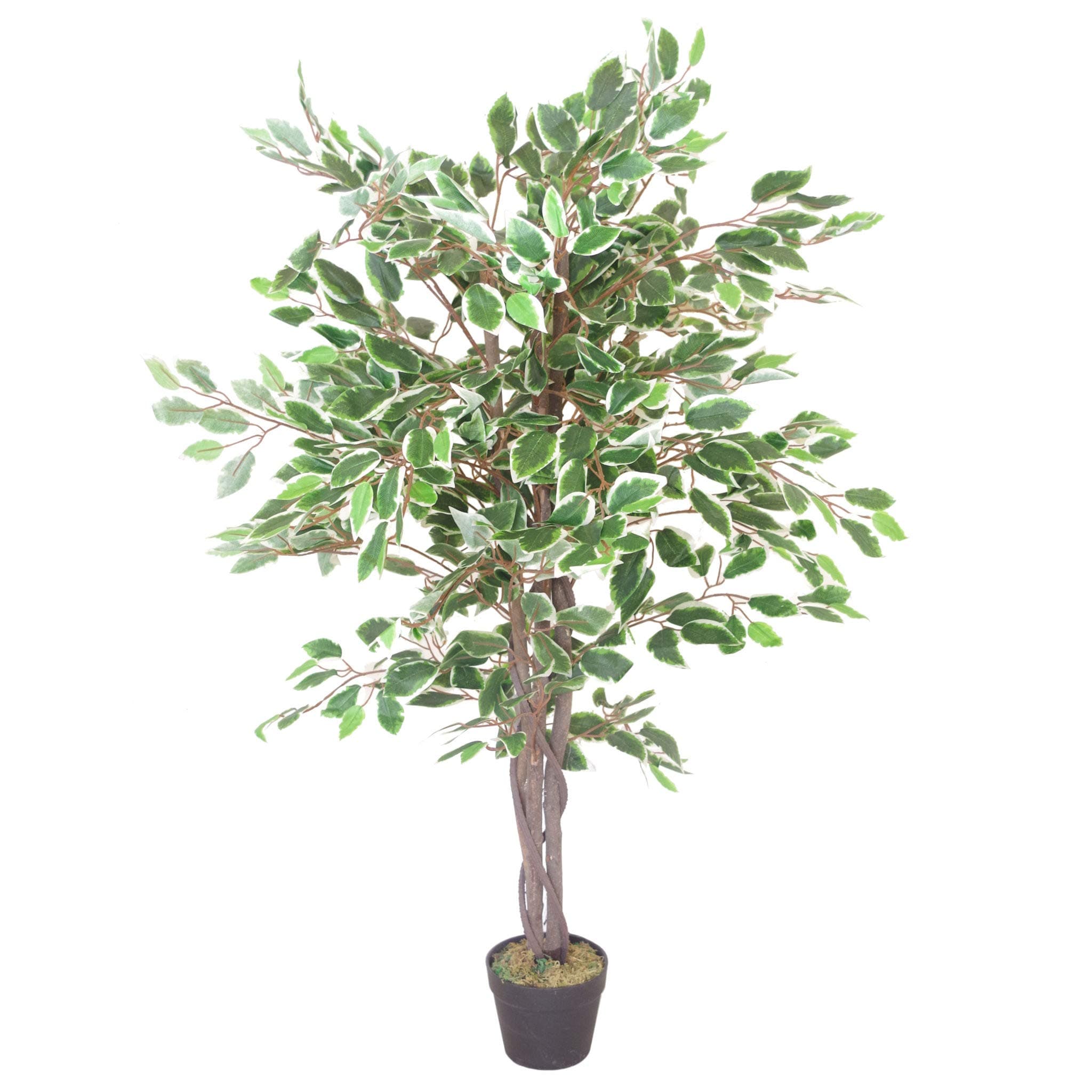 Leaf Artificial Ficus Tree/Plant, White Edge Twist, 120cm