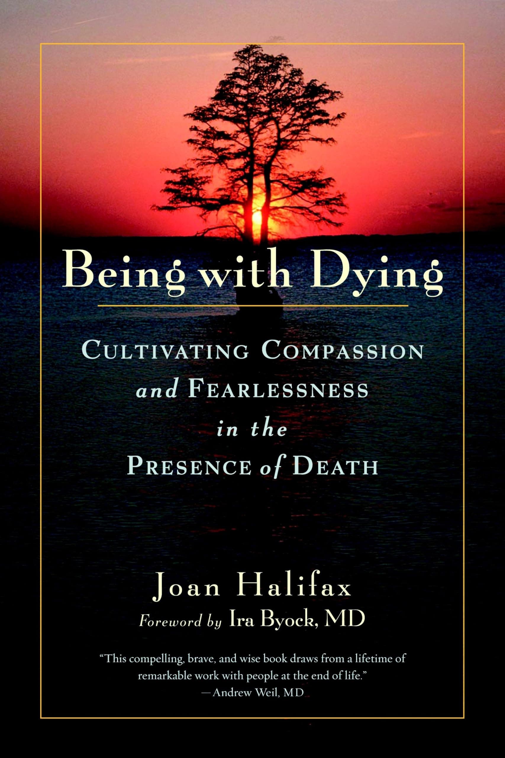 Being with Dying: Cultivating Compassion and Fearlessness in the Presence of Death Paperback – November 17, 2009