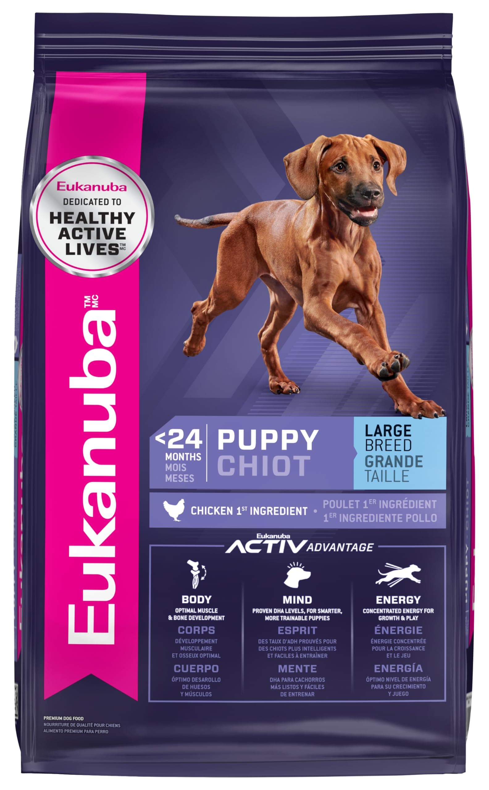 Puppy Large Breed Dry Dog Food, 33 lb