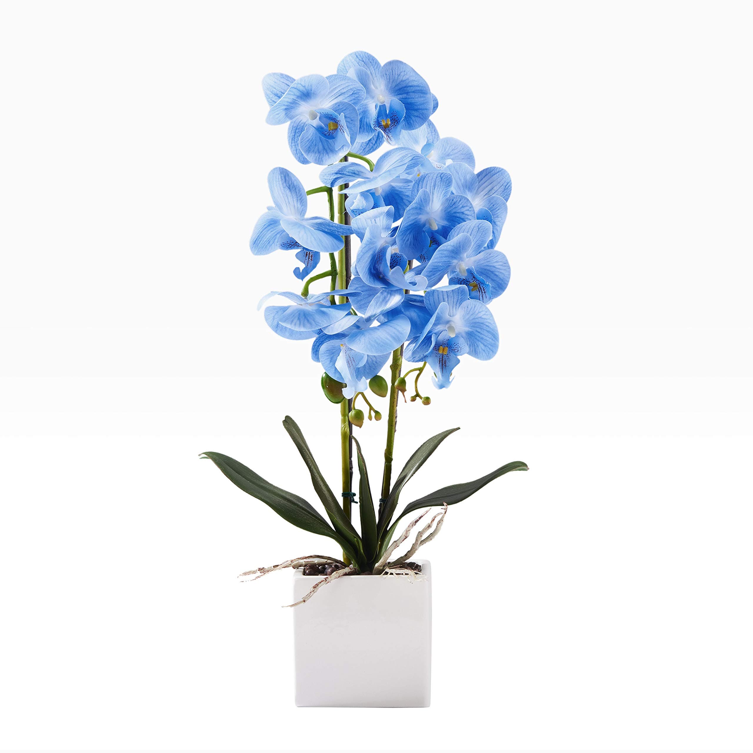 55cm Blue Silk Phalaenopsis Flower with White Vase