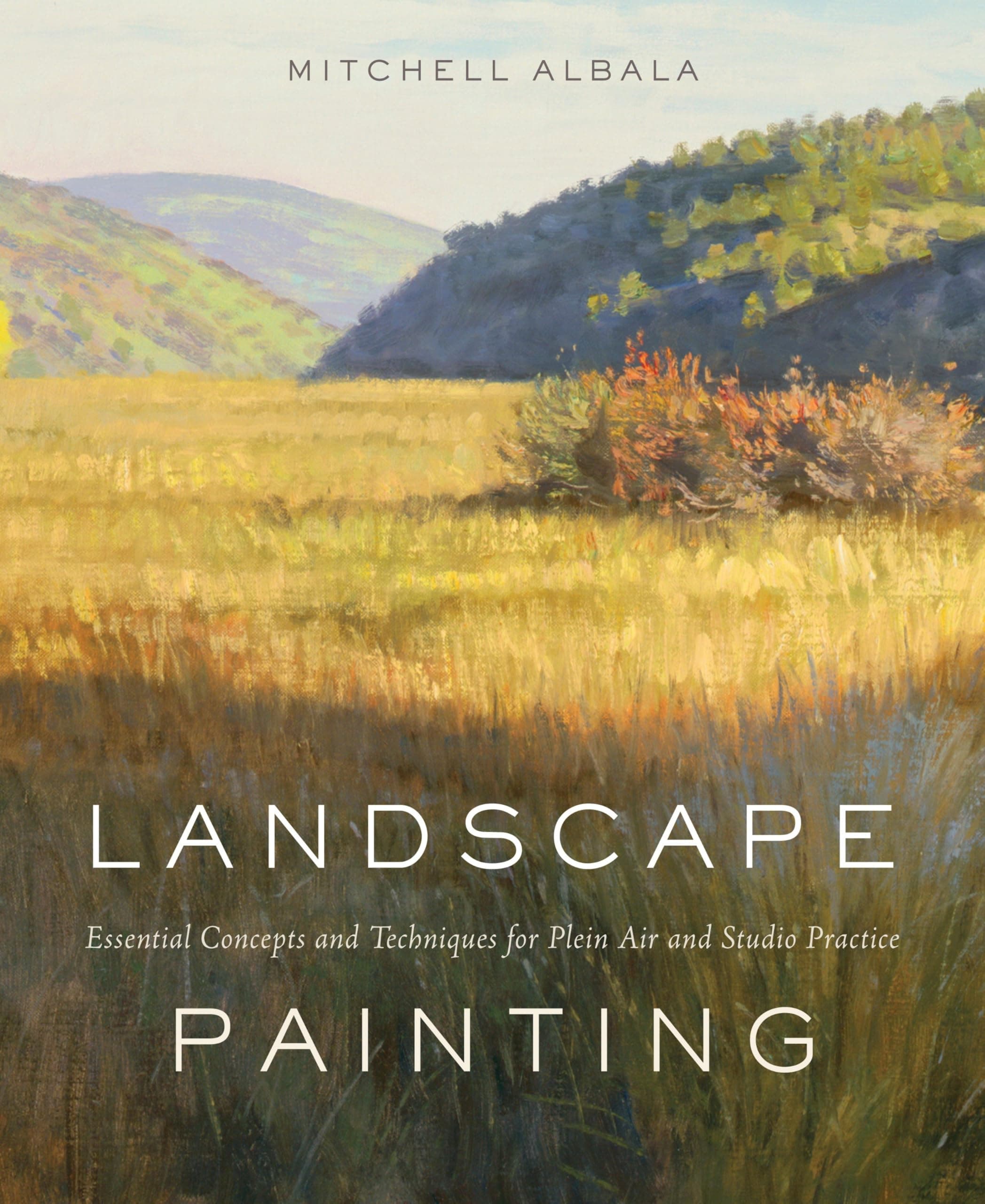 Landscape Painting: Essential Concepts and Techniques for Plein Air and Studio Practice Hardcover – Illustrated, 7 Jan. 2010