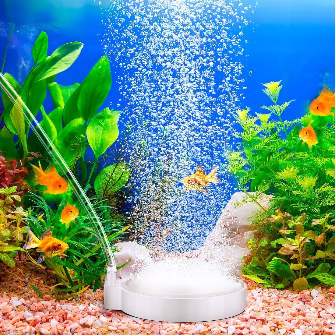 Winkeyes Aquarium Air Stone Kit Airstone Portable Fish Tank Bubbler Nano Furnace Flue Round Air Disk Stone for Hydroponics, Small Bubbles, Ultra-High Dissolved Oxygen Diffuser Perfect for Shrimp, Exot