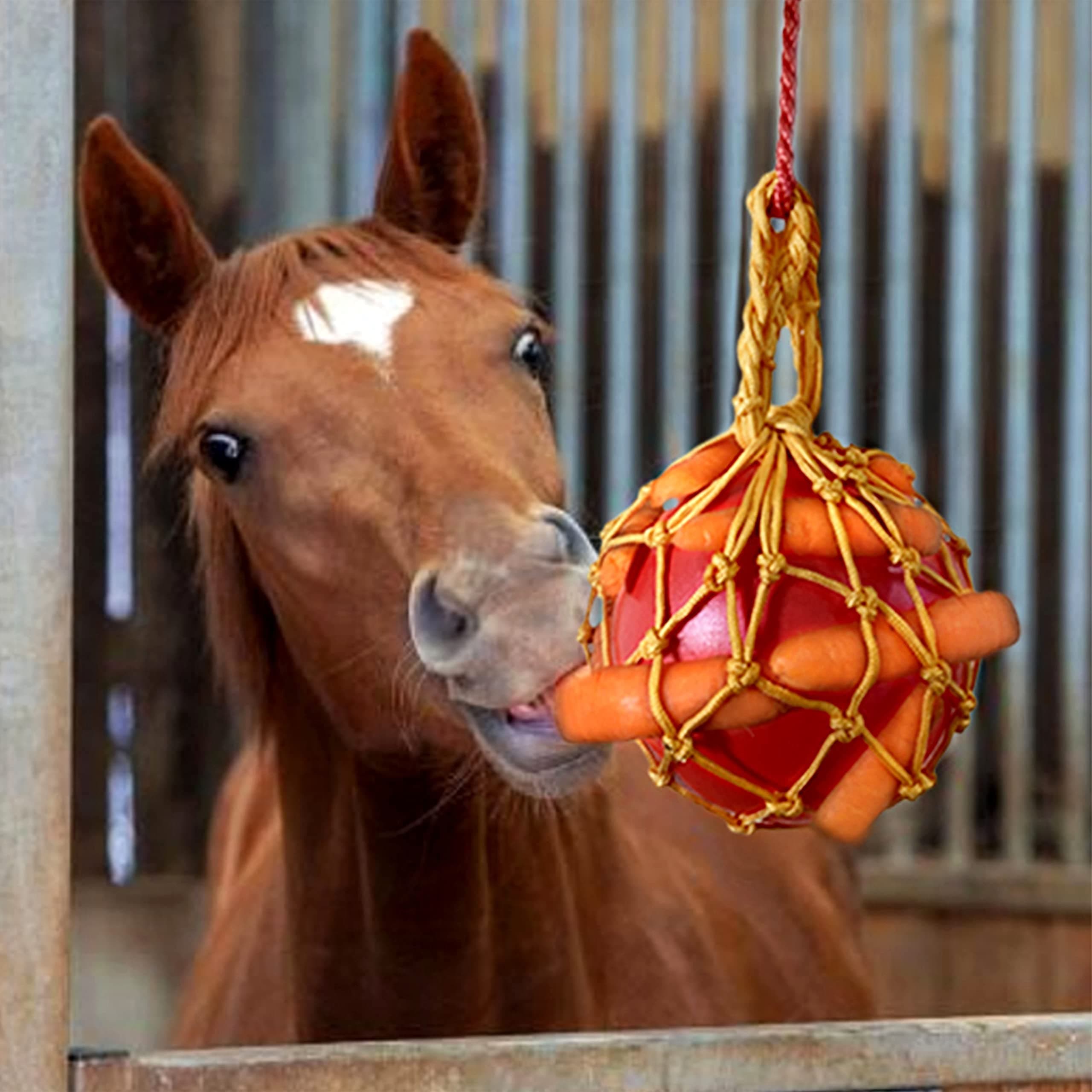 Carrot Feed Toy - Hanging Carrot Feeding Toy with Treat Ball for Horse Stable