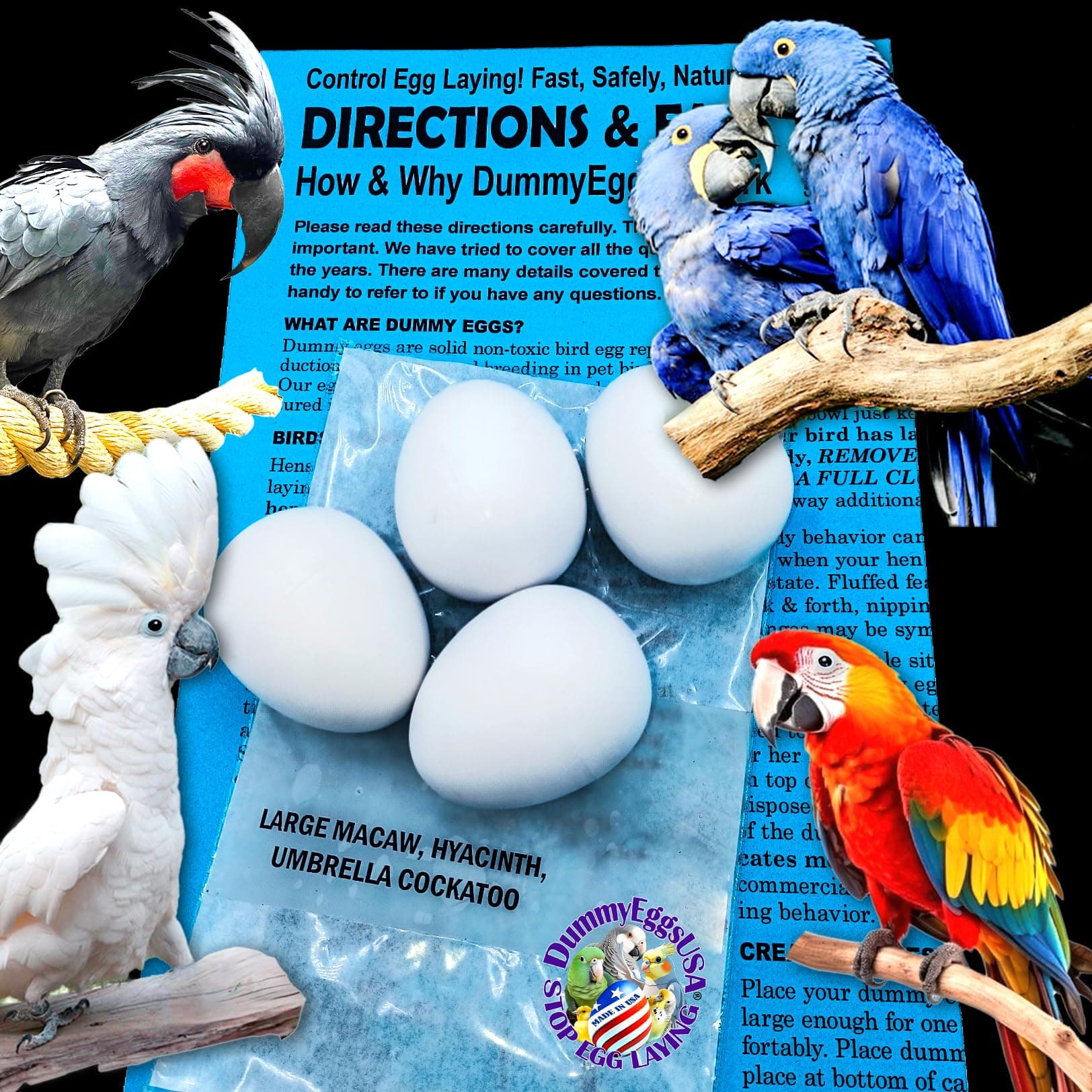 Plastic Large Parrot Eggs for Macaw & Cockatoo. 4 Dummy Solid Non-Toxic Fake Decoy Faux Mock Eggs 1-7/8" x 1-1/2" (4.8 x 3.8cm)