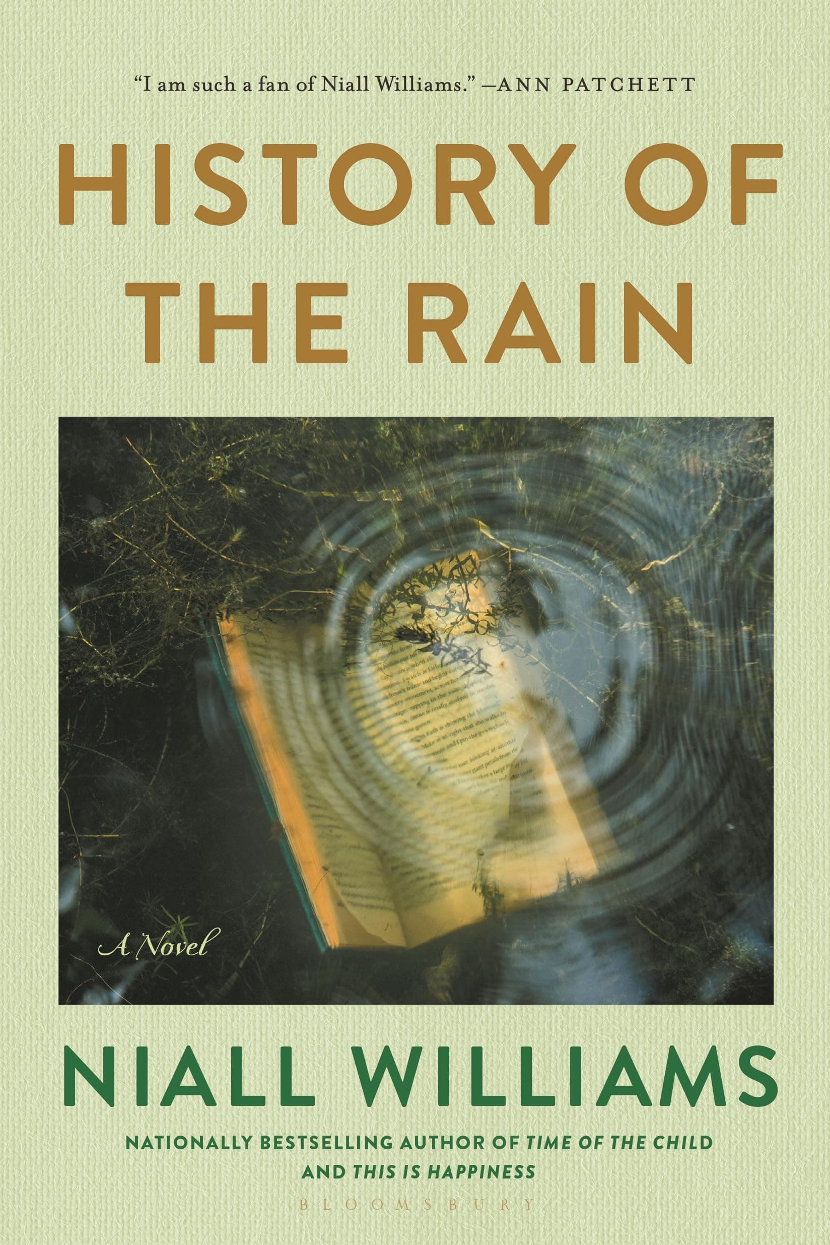 History of the Rain: A Novel