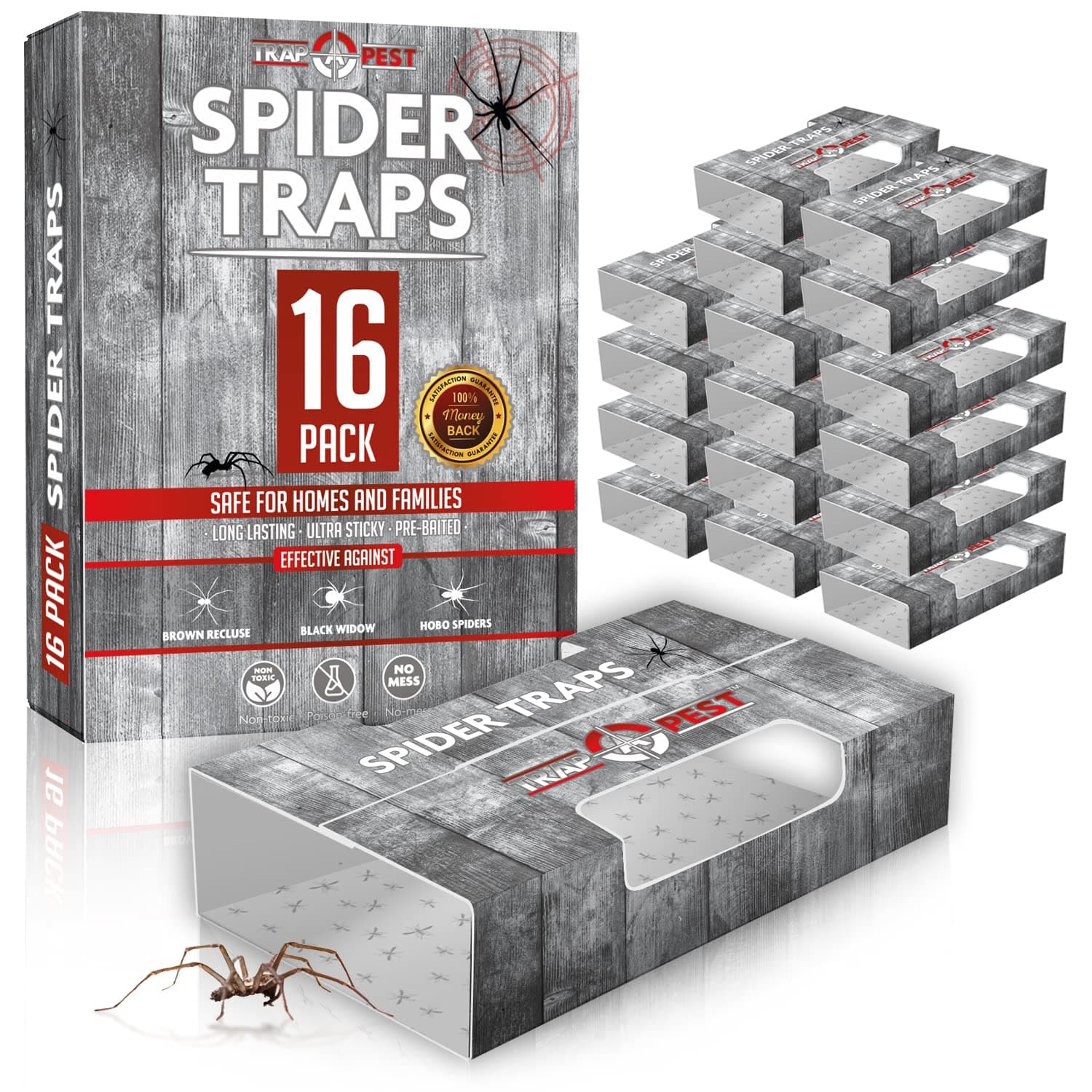 Spider for Inside Your Home (16) - Spider Catcher Insect Indoor - Spider Indoor Bug Sticky for Spiders - Pre Baited Ultra Sticky Insect Glue -