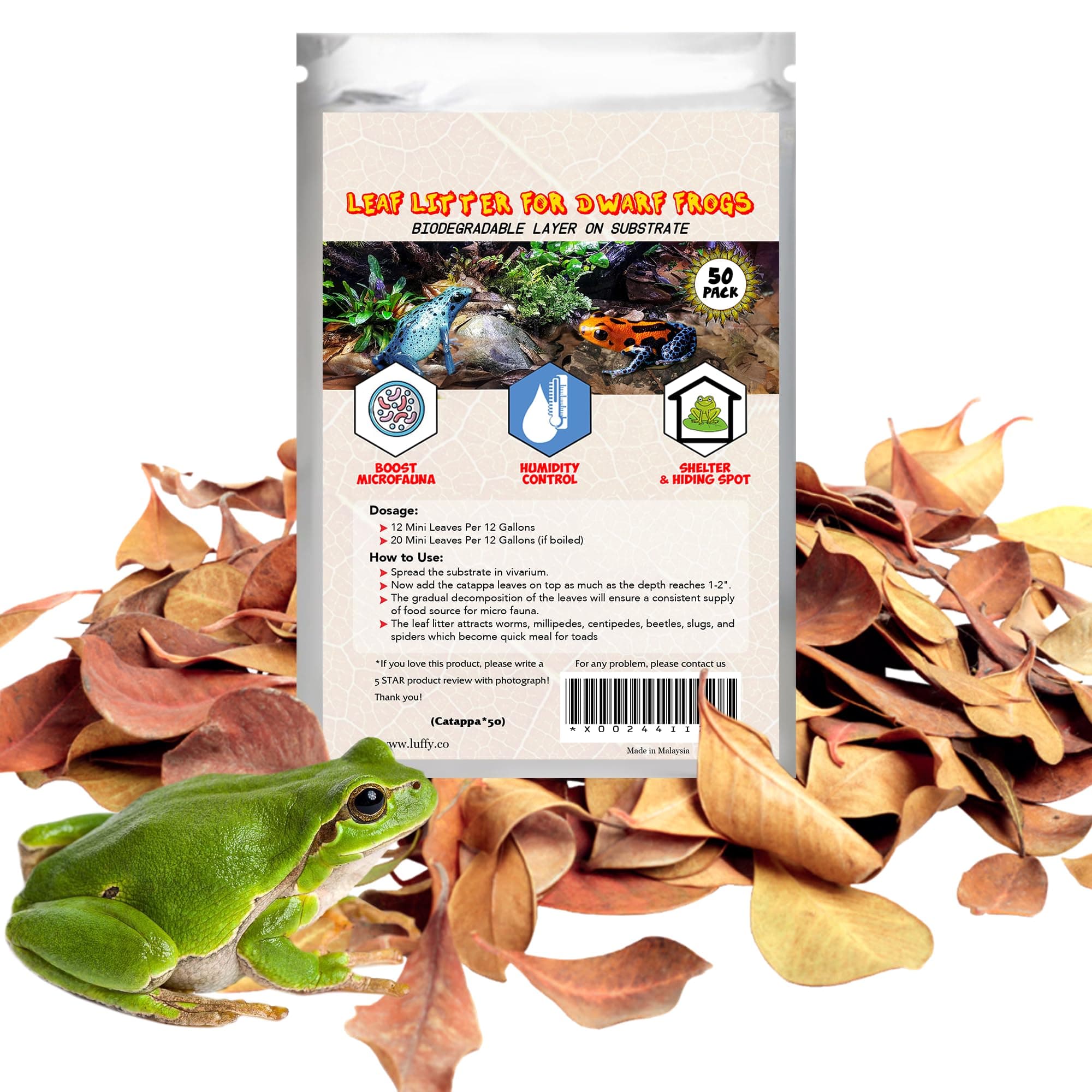 SunGrow 50 pcs Dwarf Frog Leaves, Tropical Fish, Water Treatment Terminalia Leaf, 2 Inches, Mini Indian Almond Catappa Leaves for Microfauna, Aids in Reproduction, Regulate pH of Substrate