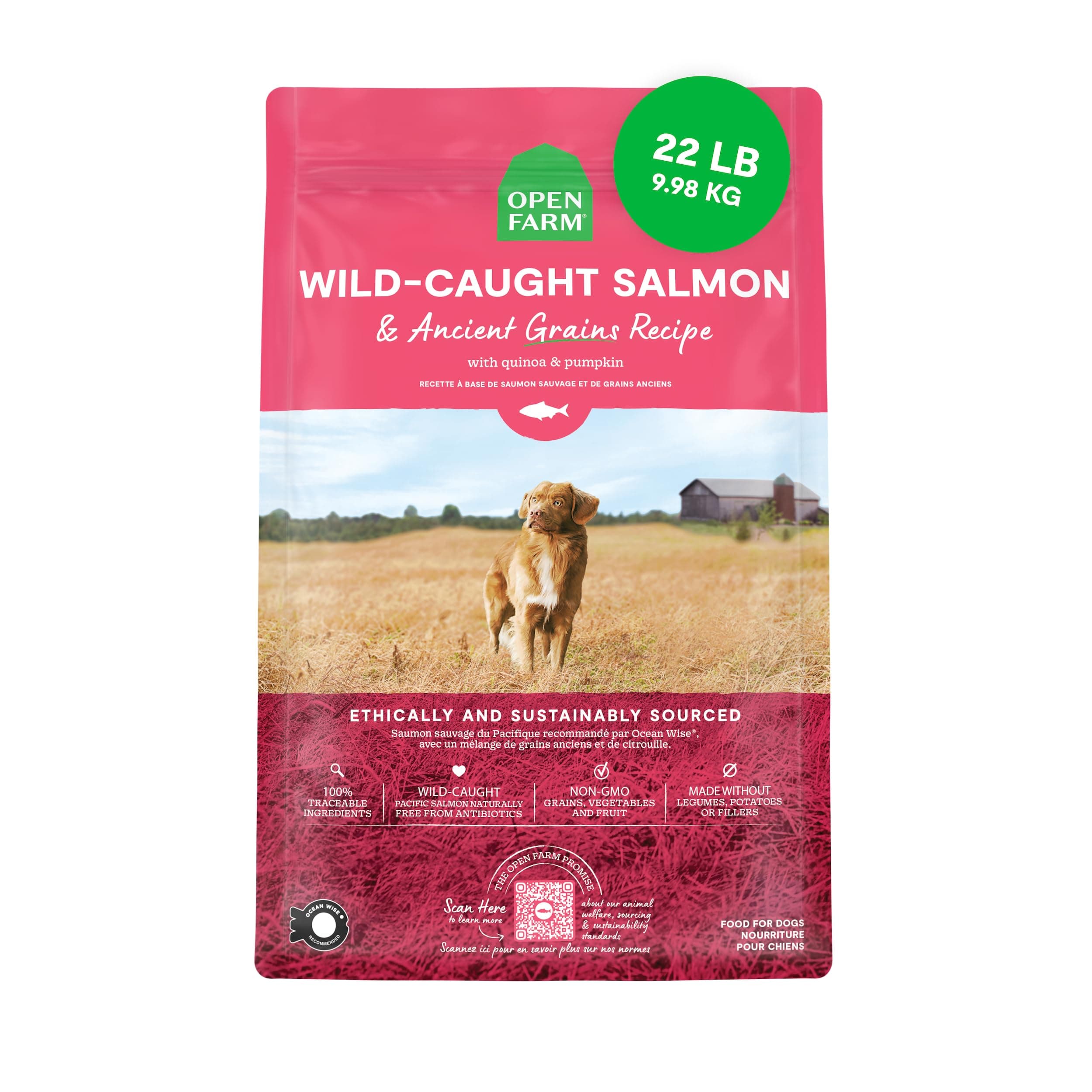 Ancient Grains Dry Dog Food, Protein-Rich & Nutrient Dense, 90% Animal Protein Mixed with Non-GMO Fruits, Veggies and Superfoods, Wild Caught Salmon Recipe, 22lb Bag
