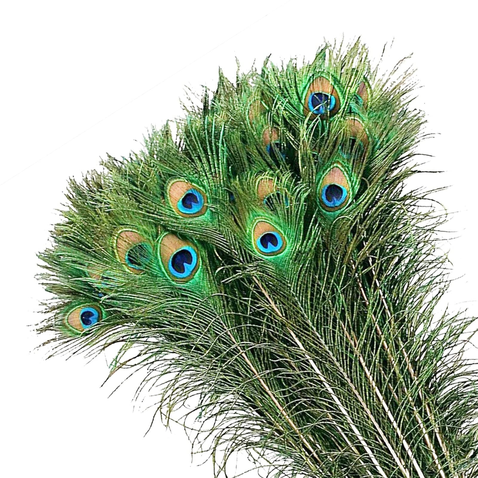 MWOOT 50Pcs Peacock Feathers, Green Peacock Eye Feathers for DIY Crafts Art, Peacock Tail Feathers for Carnival Revelry Masquerade Costume Wedding Holiday Party Decoration (28-32CM)