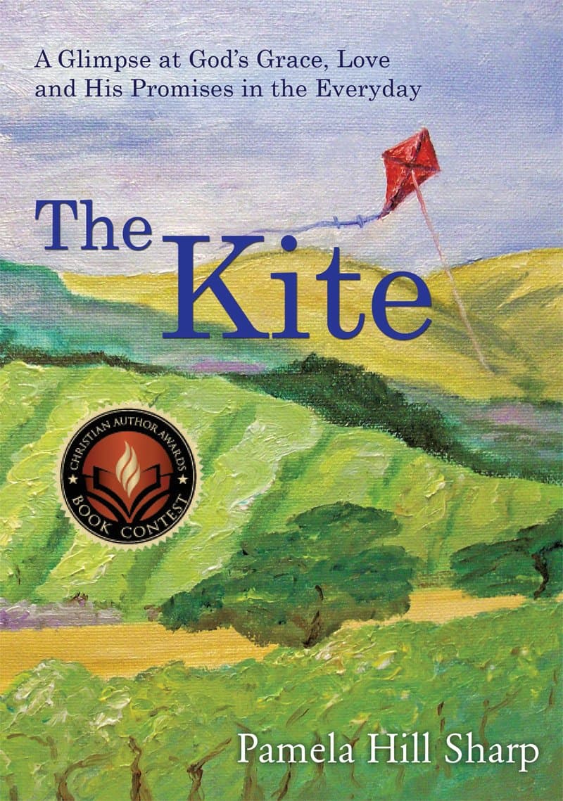 The Kite: A Glimpse at God's Grace, Love and His Promises in the Everyday