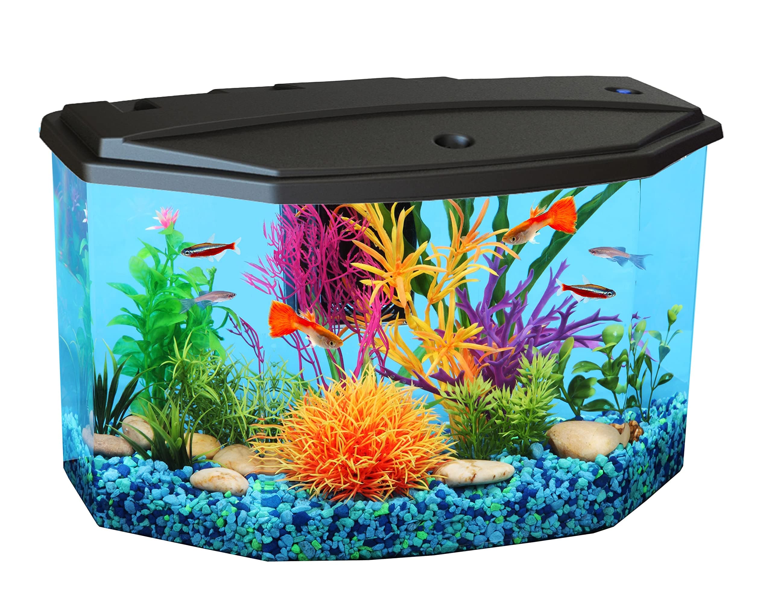 Plastic 3-Gallon Aquarium Starter Kit with 4 Colors LED Lighting and Complete Filtration, Ideal for a Variety of Tropical Fish, Betta Fish, Tropical Fish, Cichlids, Ornamental Shrimp