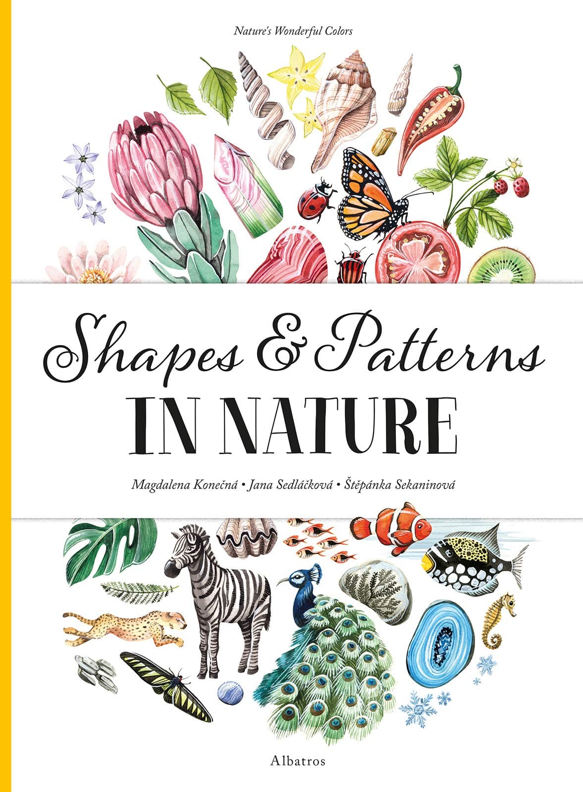 Shapes and Patterns in Nature (Nature's Wonderful Colors, 3)