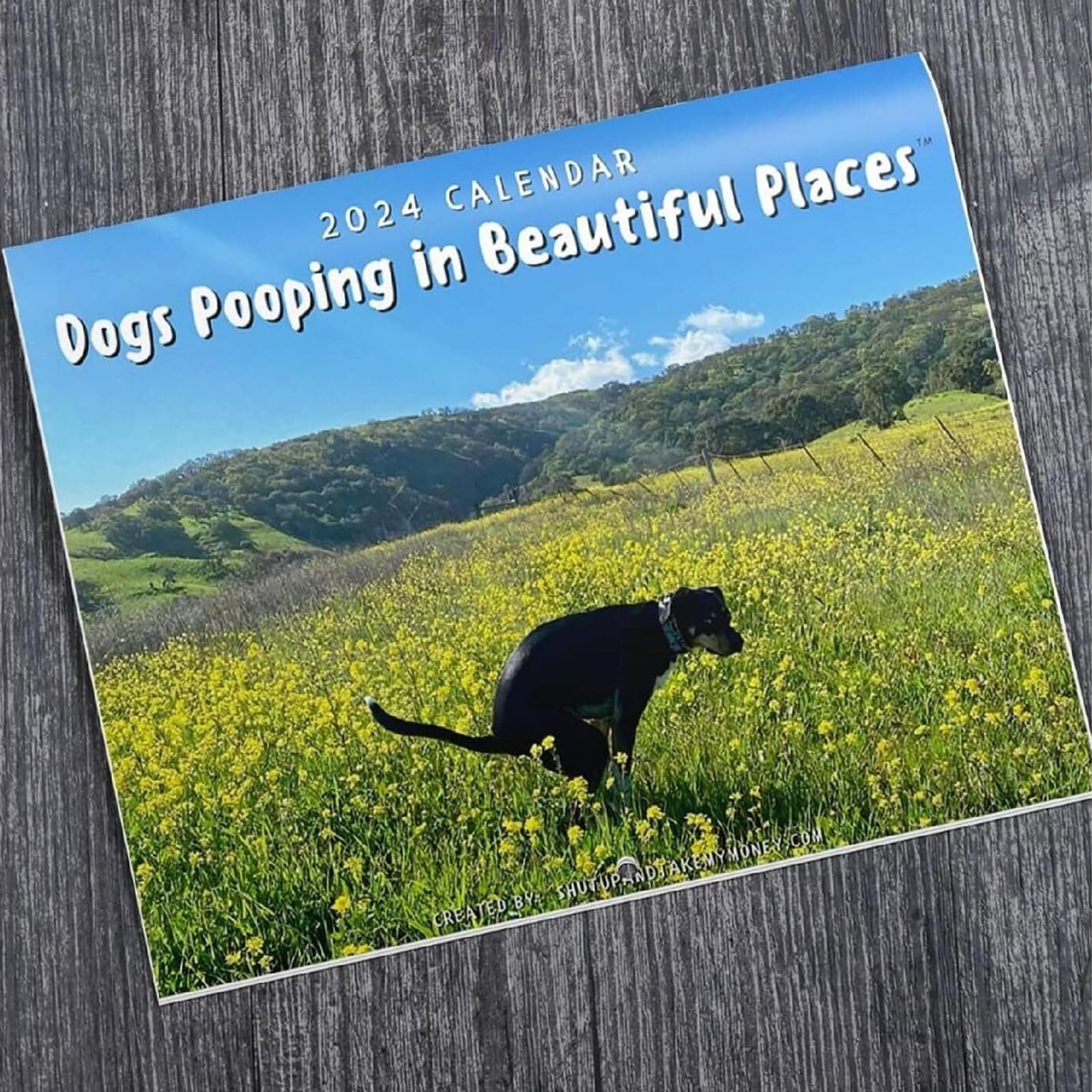 Dogs Pooping In Beautiful Places Calendar, Humor Dog Pooping Calendar 2024, Monthly Wall Calendar, 2024 Family Planner, Funny Gag Gifts For Birthdays Christmas(Grassland)