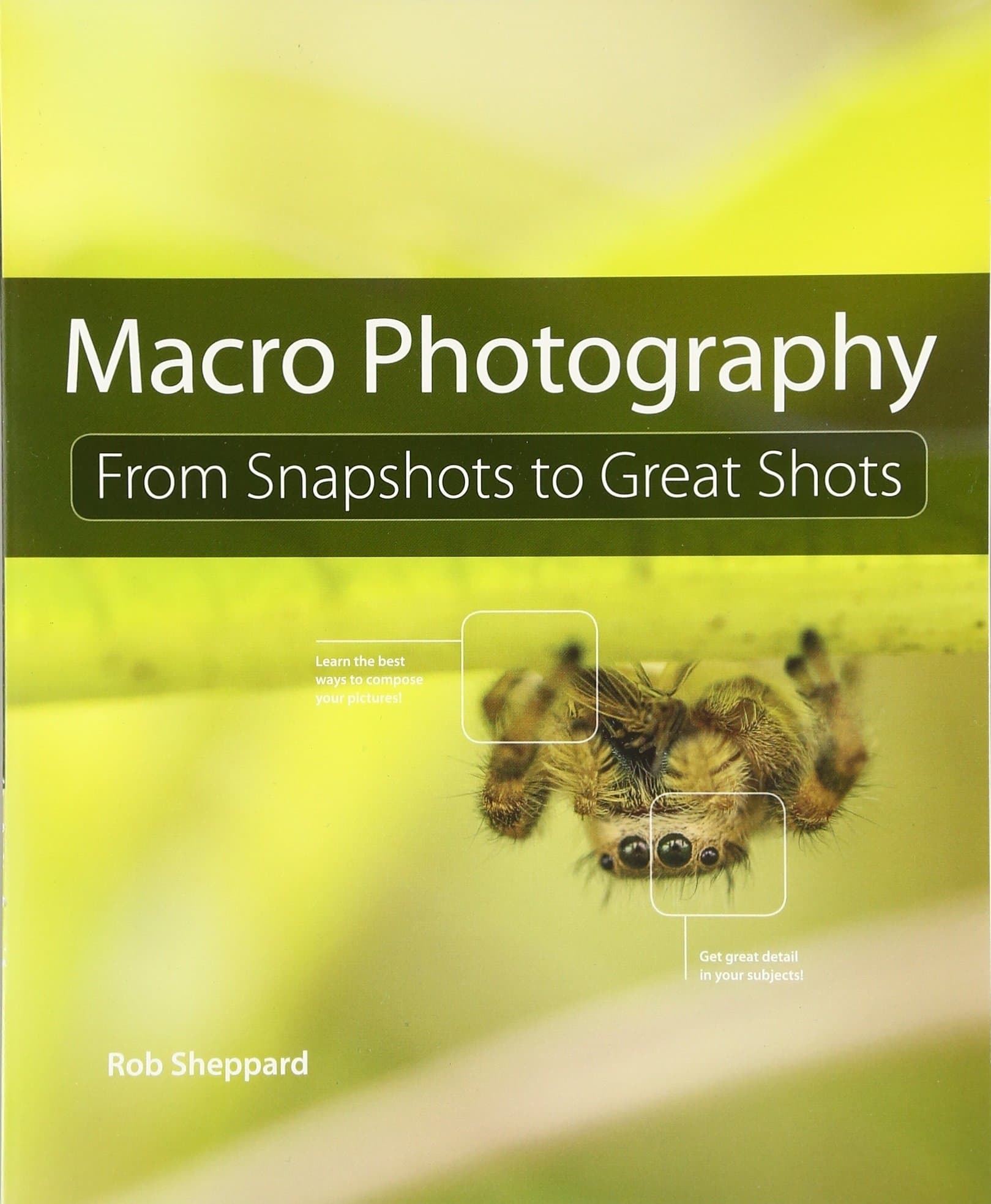 Macro Photography: From Snapshots to Great Shots 1st Edition