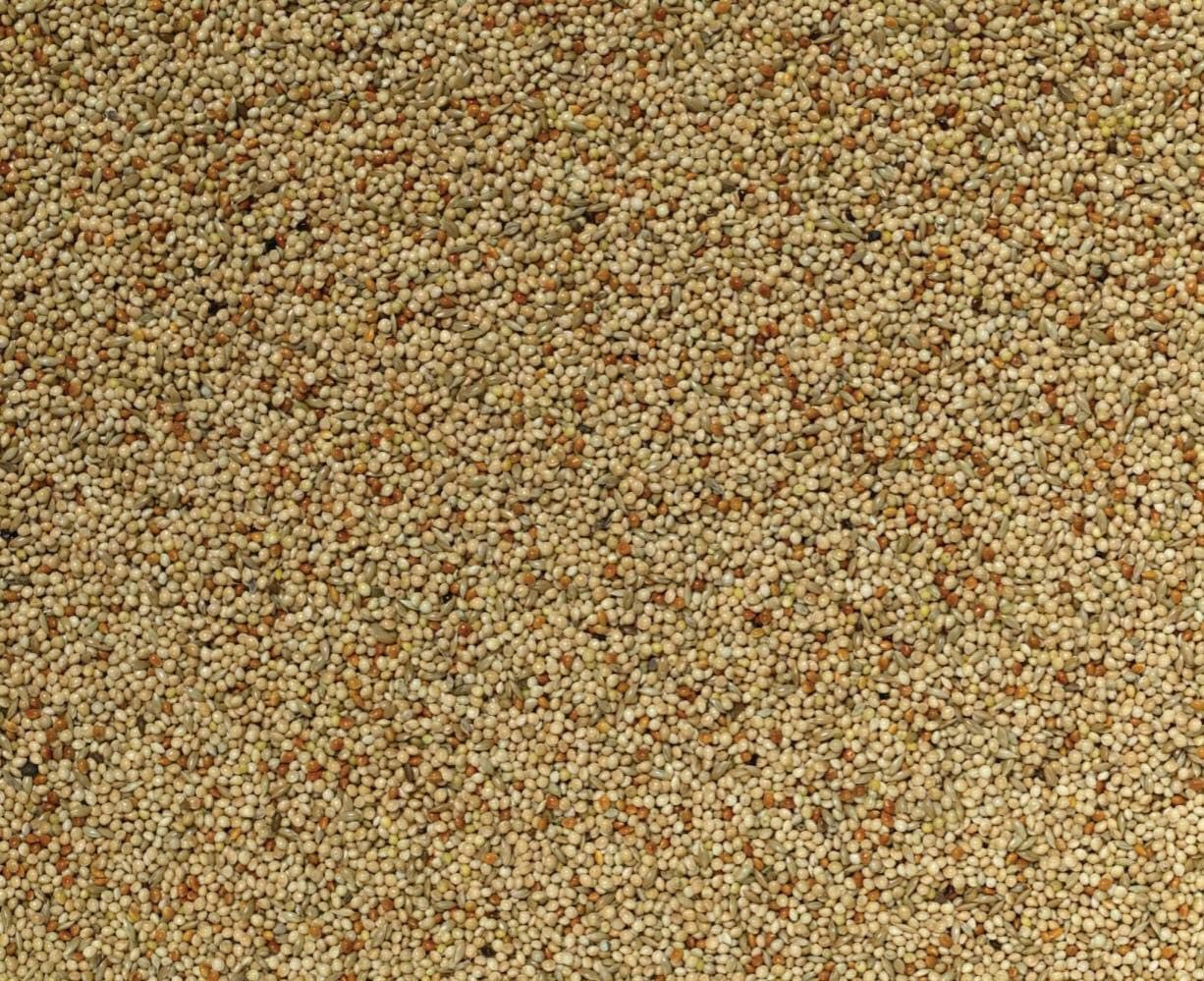 1kg Utility Budgie bird seed food sold by Trusty Pet Supplies