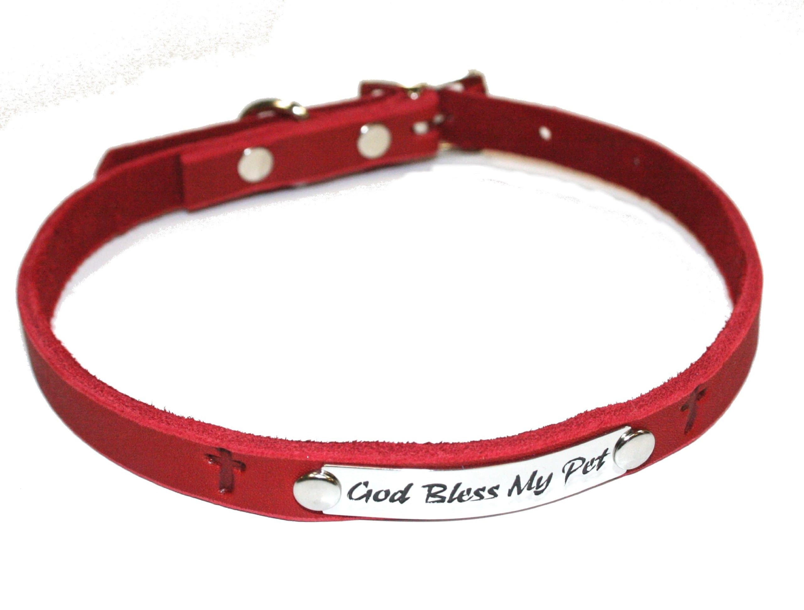 Auburn Leather 41-8155-91 Ark Survivor Series Red 1/2" x 18" Collar with Engraved Plates