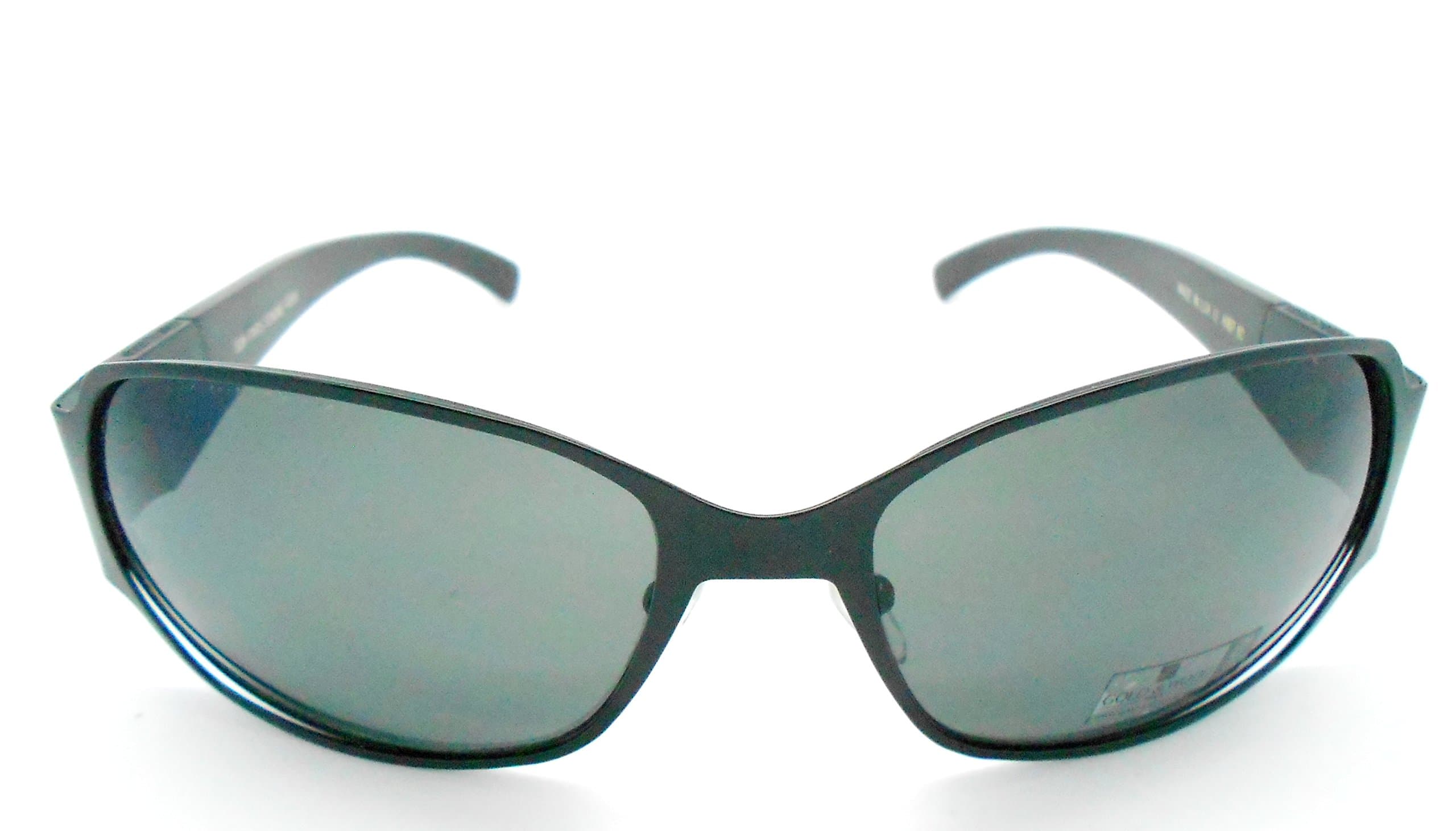 Gold and Wood H16P.8C Polarized Sunglasses with Buffalo Horn Temples