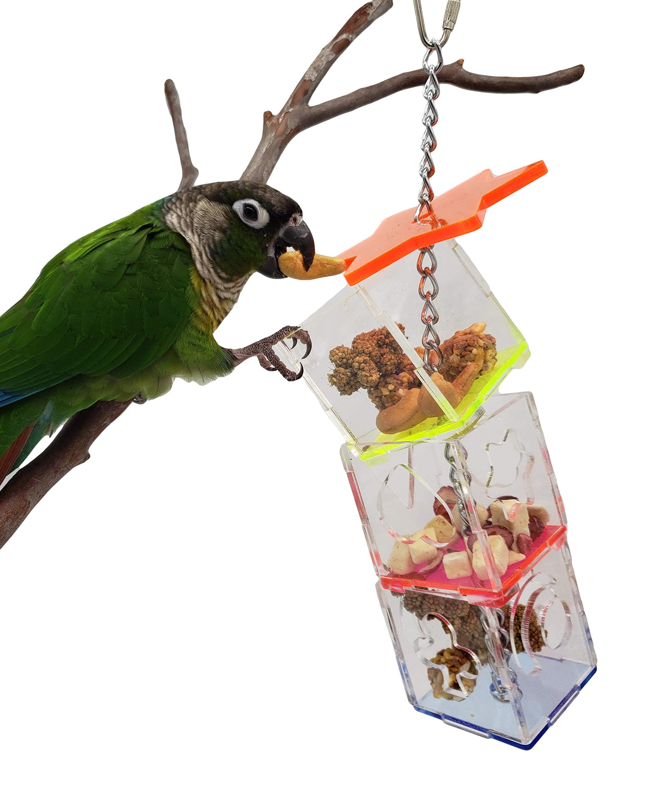 Parrot Bird Boredom Buster Forage Box Creative Hanging Treat Foraging Toy Conure Cockatiel for Small Bird Enrichment Transparent Acrylic Food Holder