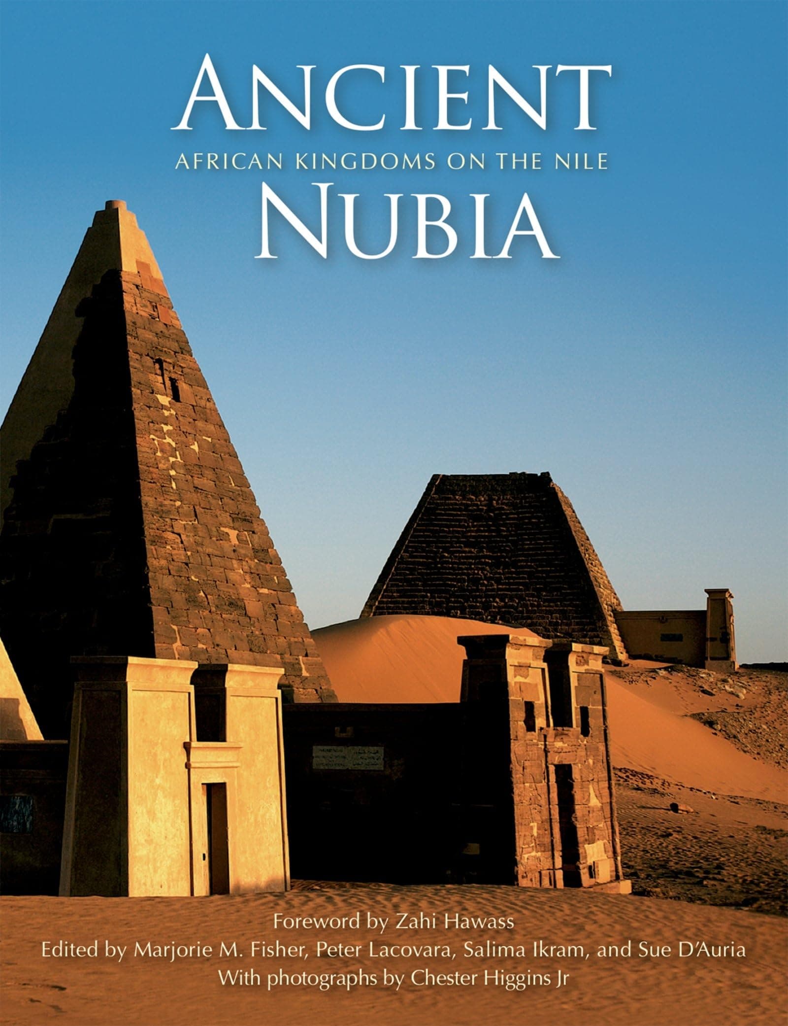 Ancient Nubia: African Kingdoms on the Nile Hardcover – 15 Feb. 2012
