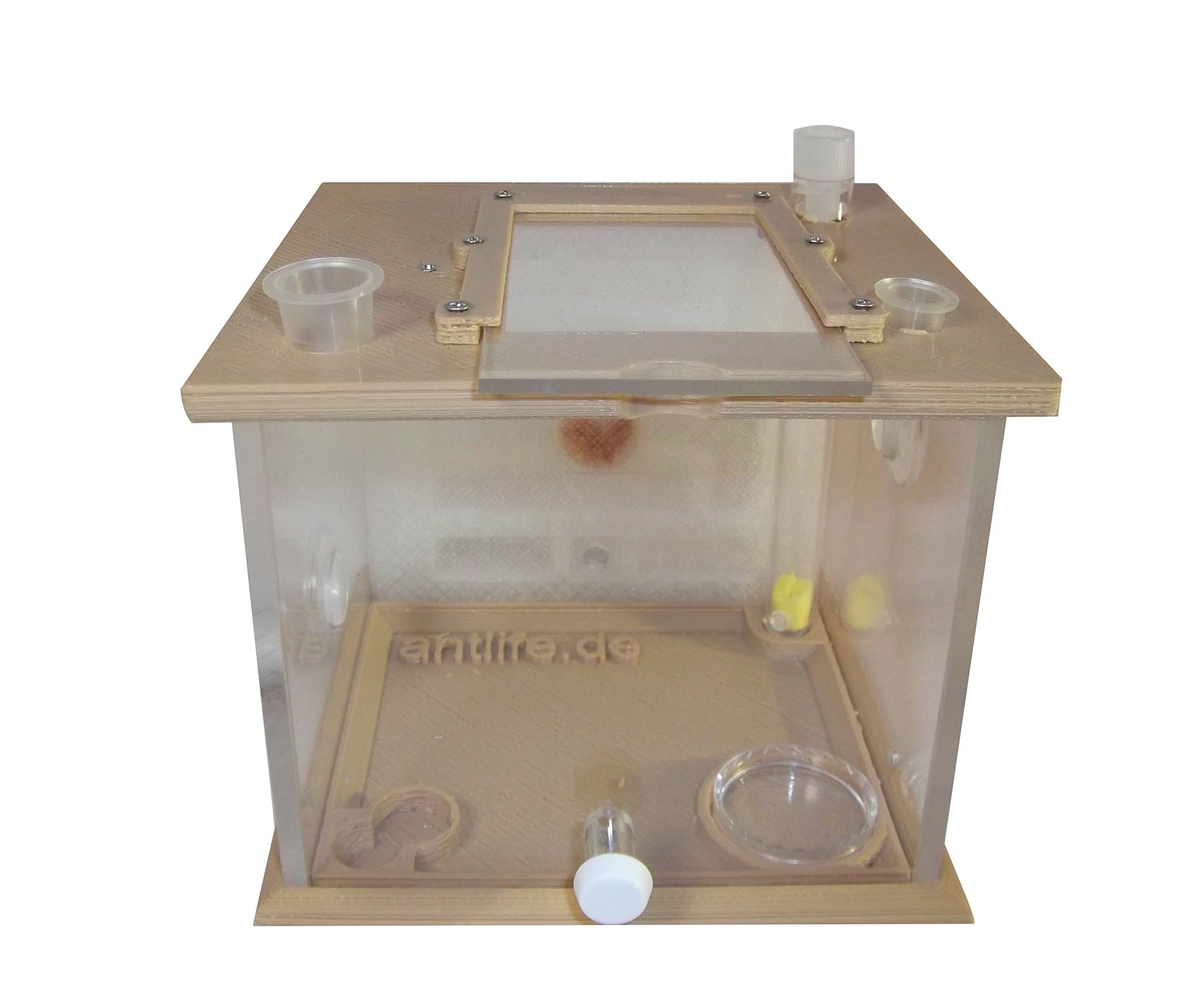 Antlife ANT FARM | Basic model without ant queen Taiga (size S)