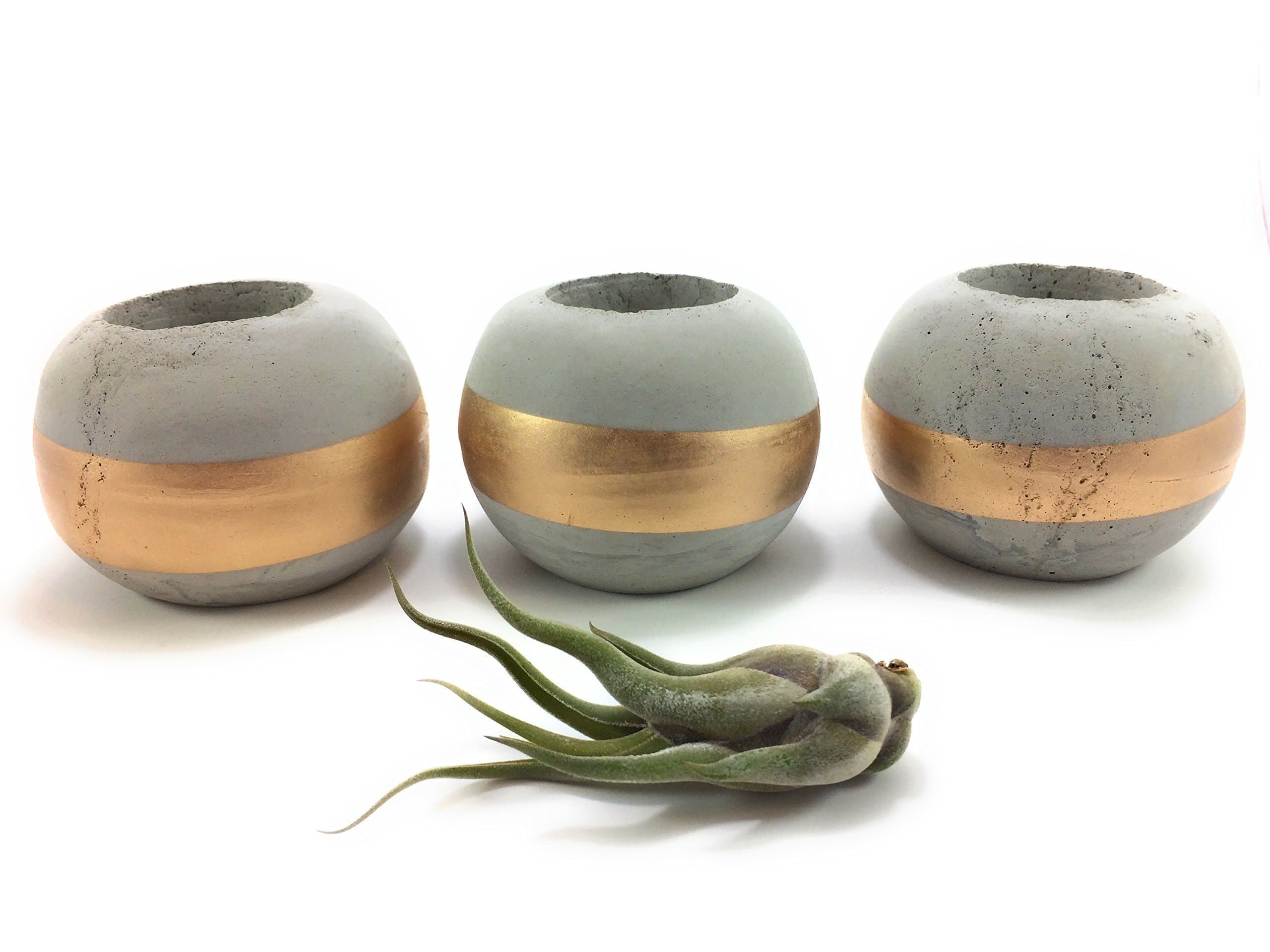 ORB Concrete Succulent Planters/Air Plant Holders (Set of 3) GOLD. Cement Succulent pots. Modern Planter set