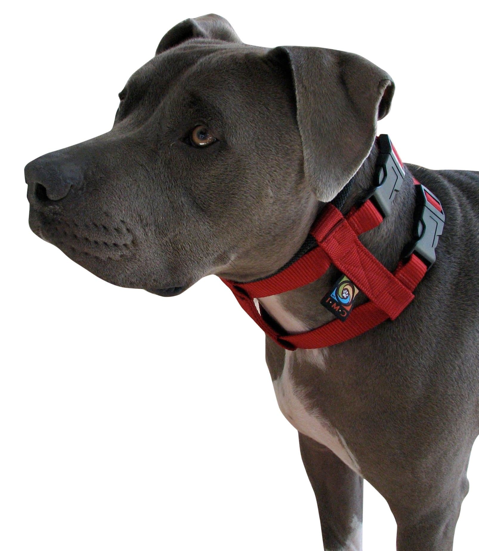 Cesar Millan Original American Illusion Collar Training Collar & Lead