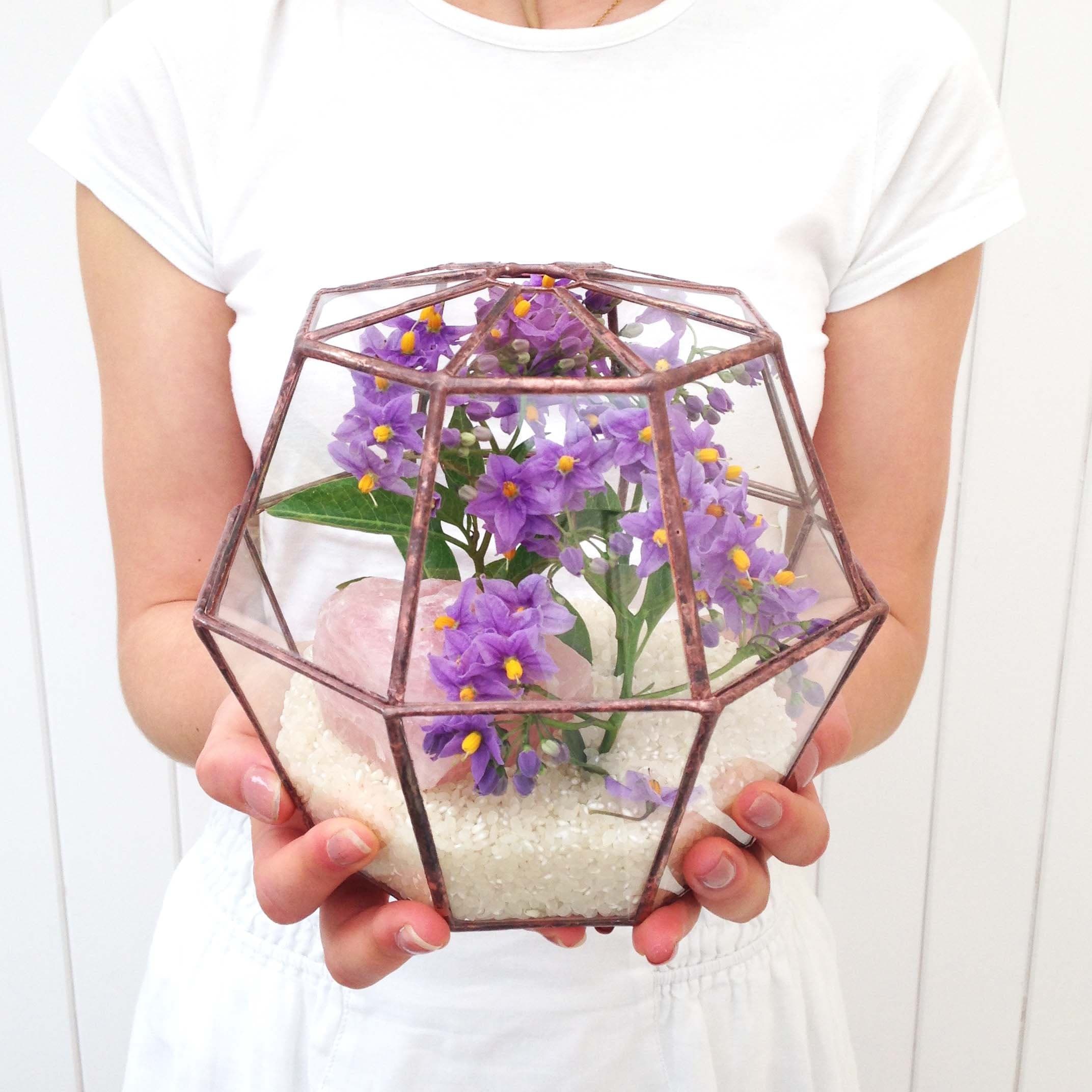 Octagon Terrarium/Geometric Glass Plant Pot/Modern Planter/Handmade in England (Small, Rustic Copper)