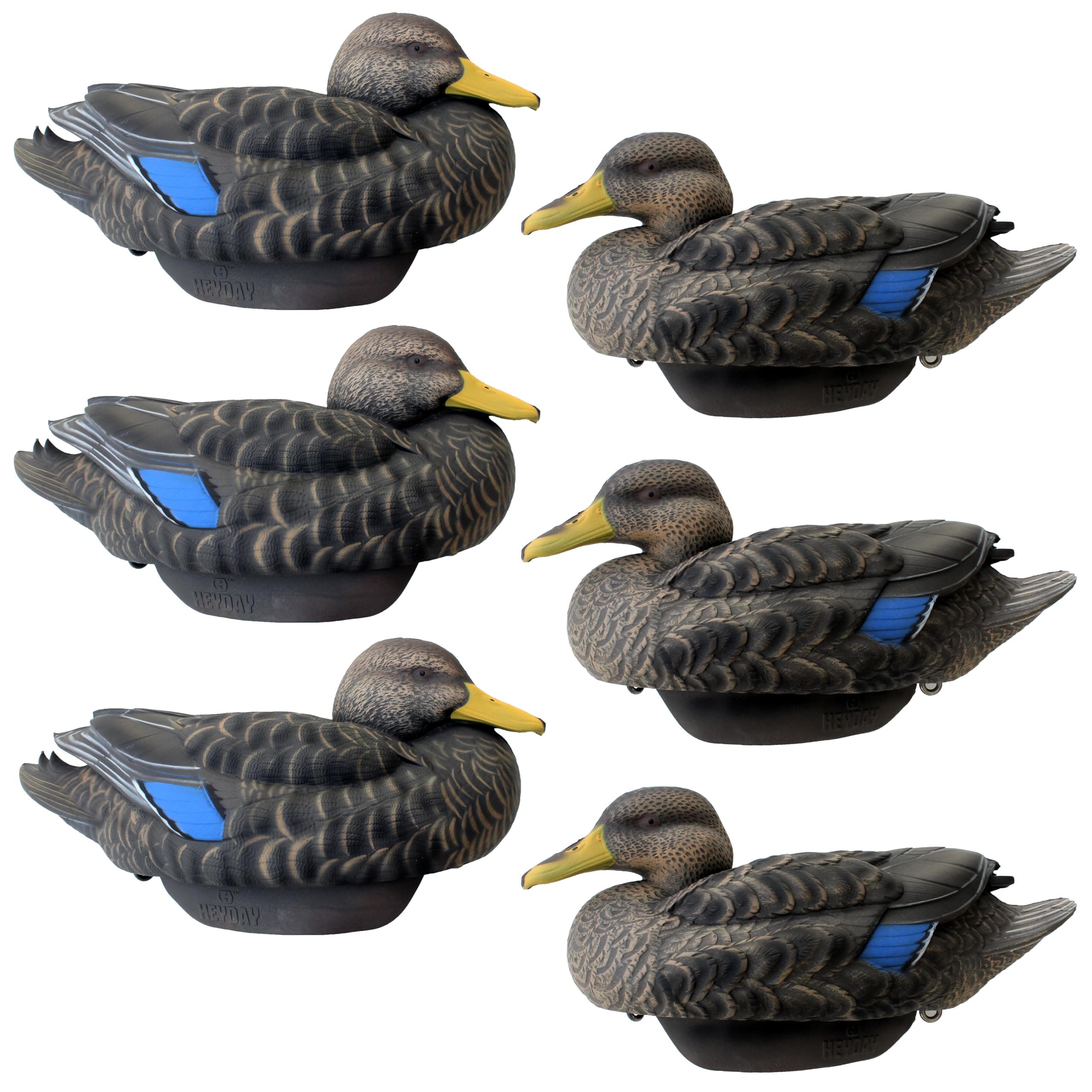 Black Duck Decoys by Heyday – Ultra-Light 100% HydroFoam | Durable, Realistic Design | 6 Pack of Duck Hunting Decoys