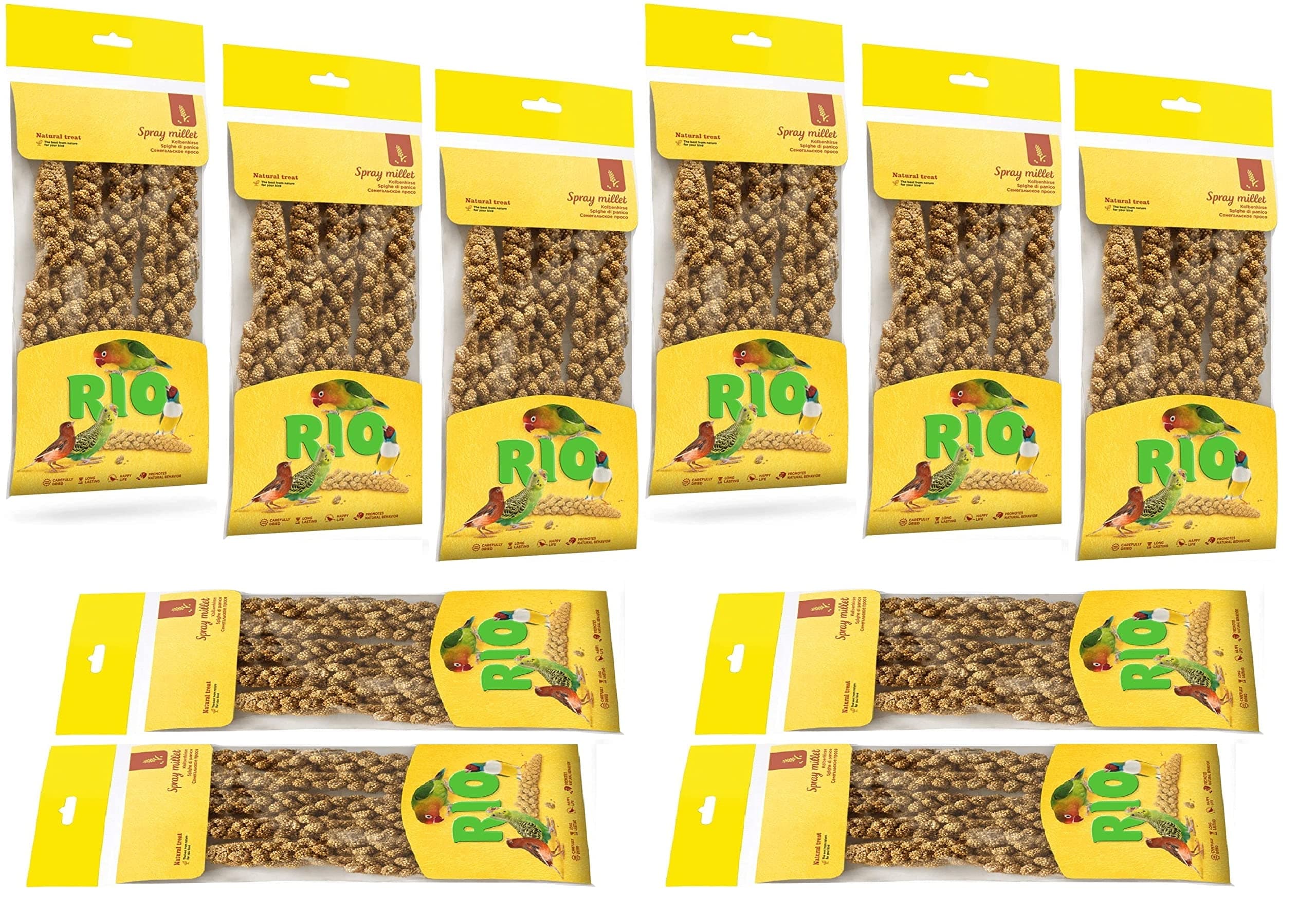 Rio Spray Millet Natural Feed (100 GMS (Pack of 10))