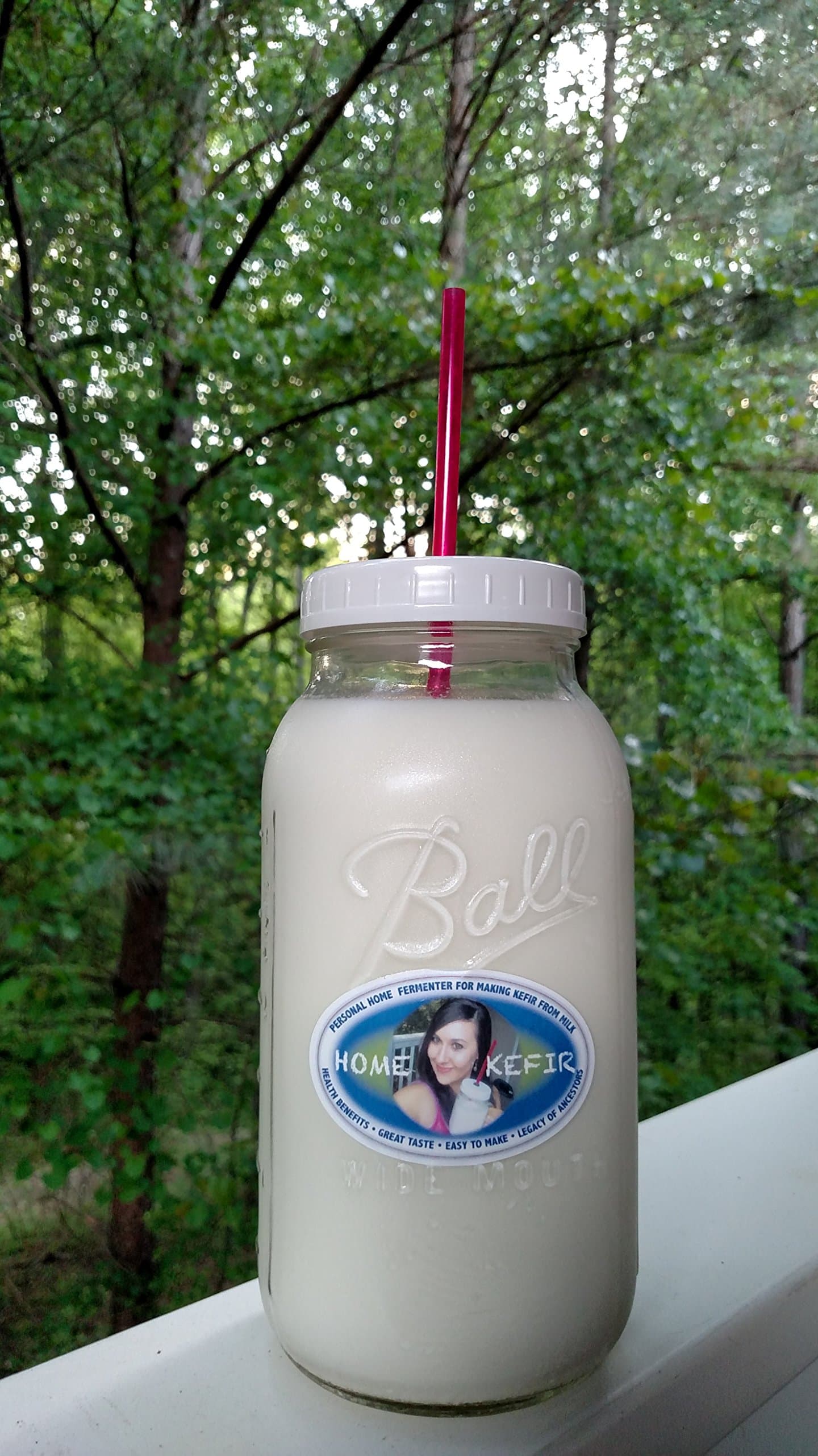 Kefir Fermenter (1.5l/50oz) with Kefir Grains (20g)