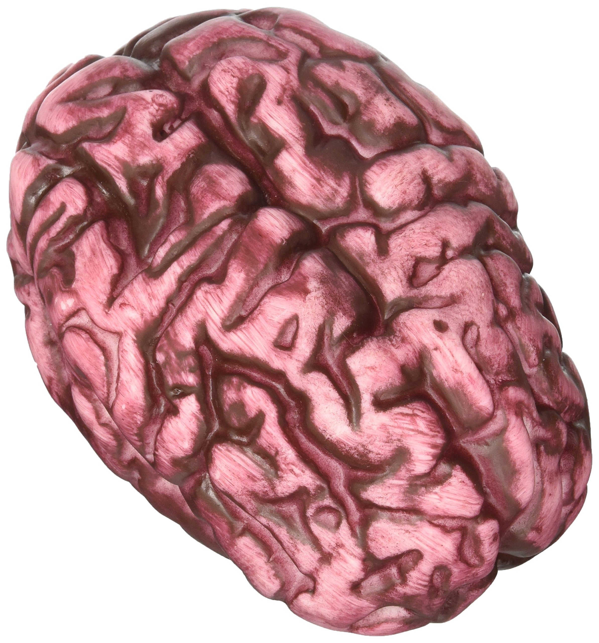 Fake Human Bloody Brain