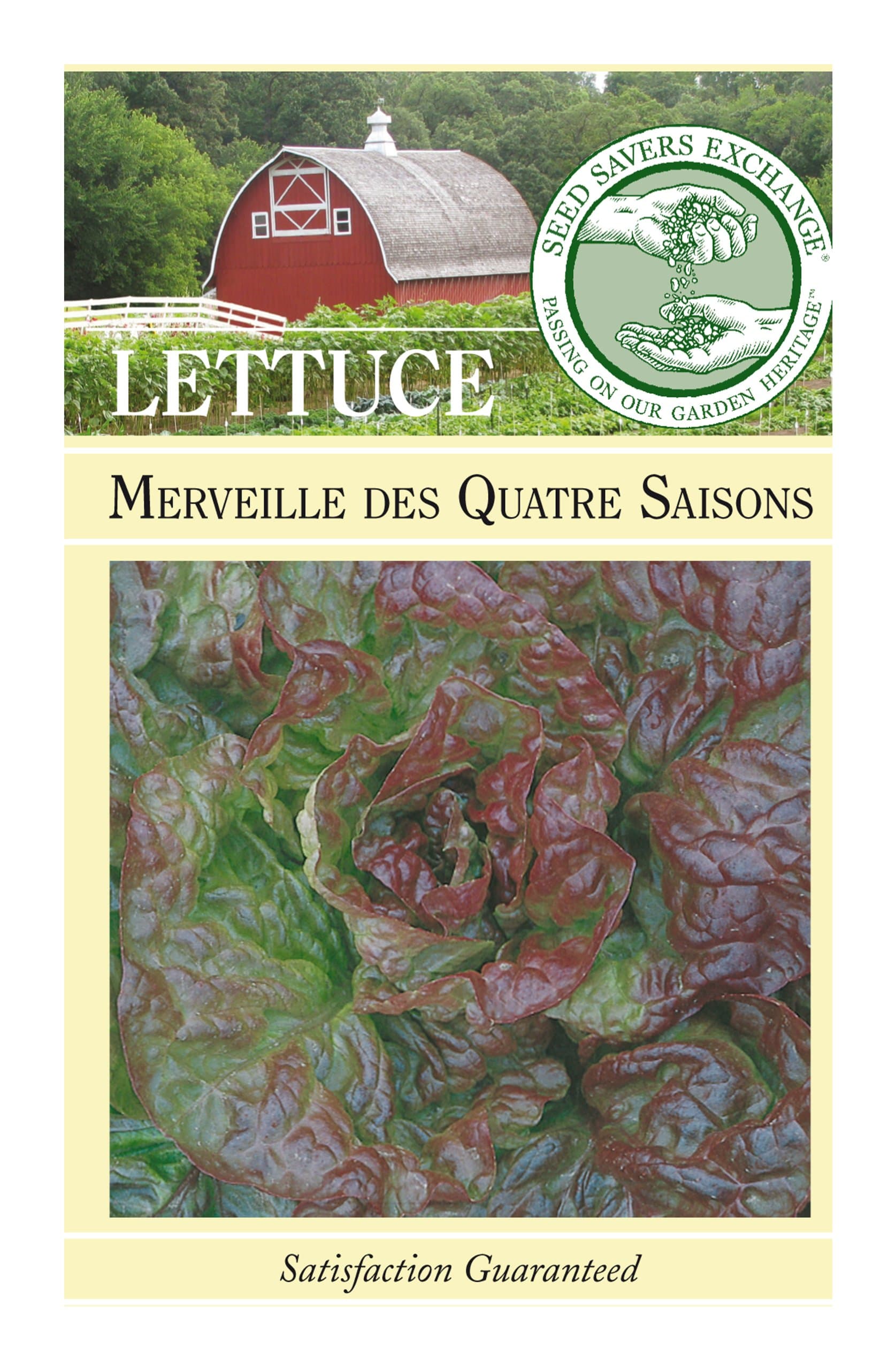 Seed Savers Exchange 0220 Open-pollinated Lettuce Seed, Merveille des Quatre Saisons, 250 Seed Packet