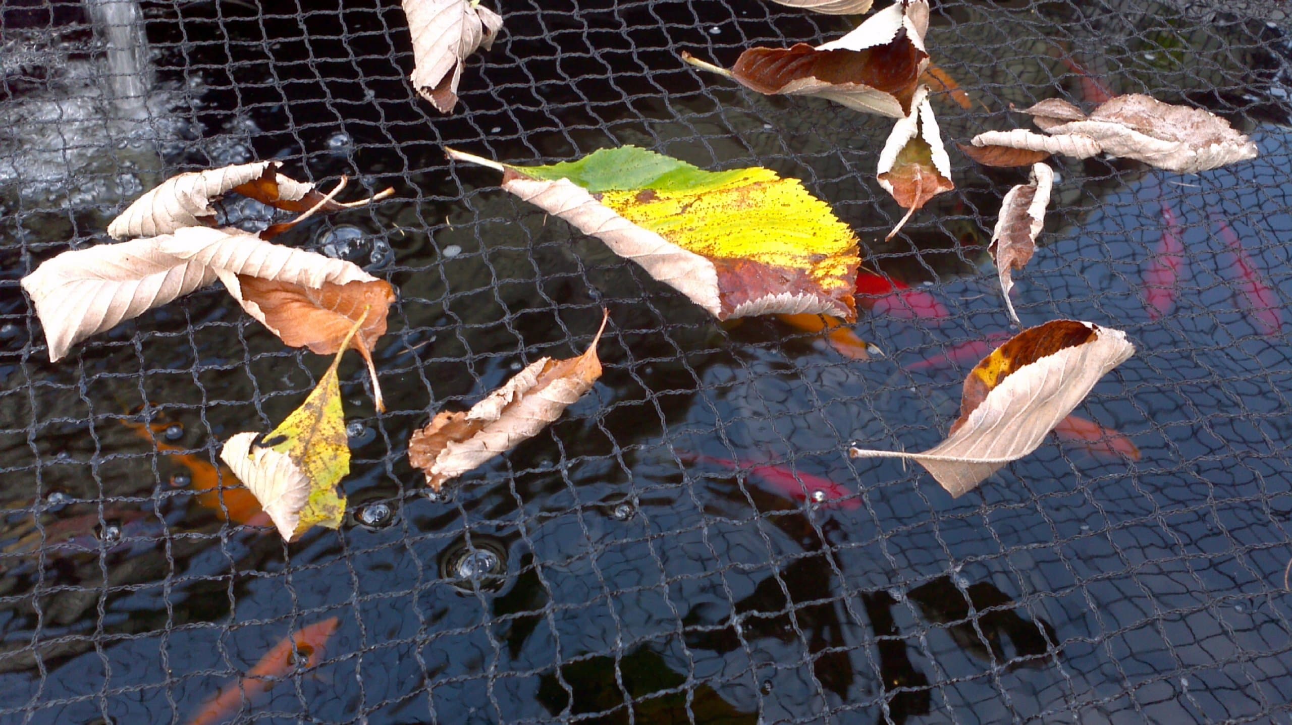 Premium Pond Cover Netting Size: 120"