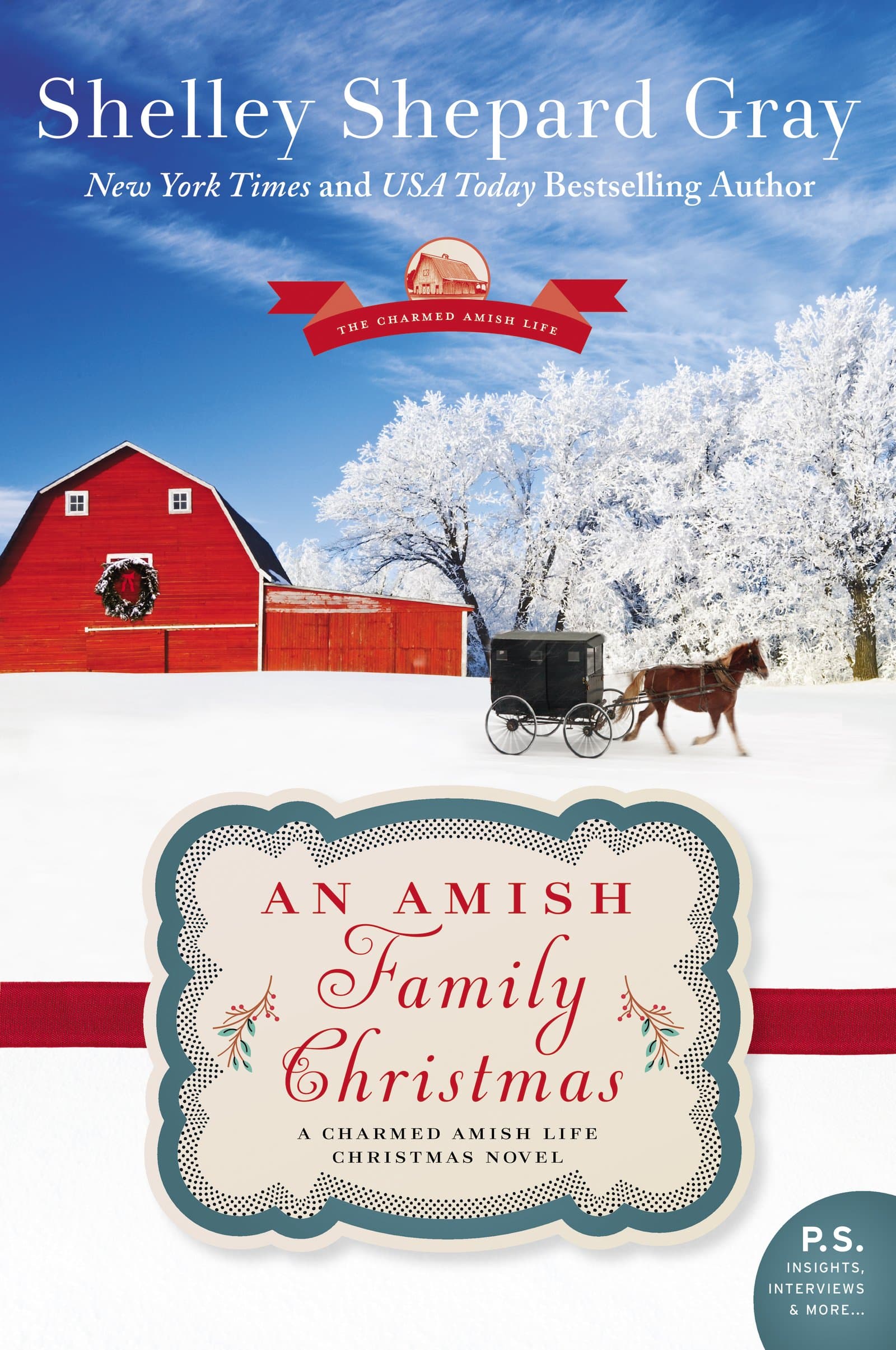 AMISH FAMILY XMAS (Charmed Amish Life, 4)