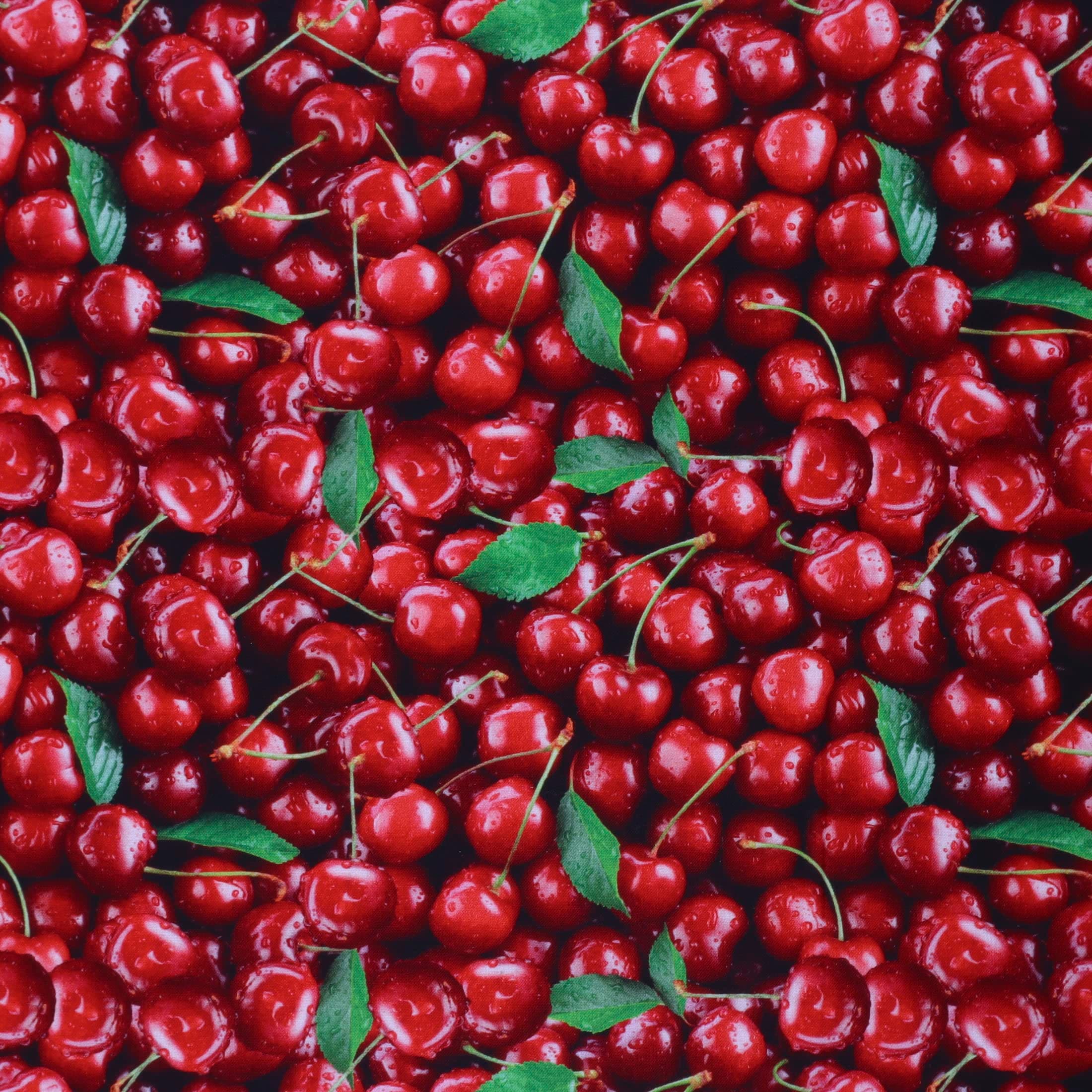 Mook Fabrics Fruits-Vegetables Fabric [45 in. Wide] – 100% Combed Cotton Material for Quilting, Home Decor Accents | Arts, Crafts & Sewing, Cherries Cut by The Yard