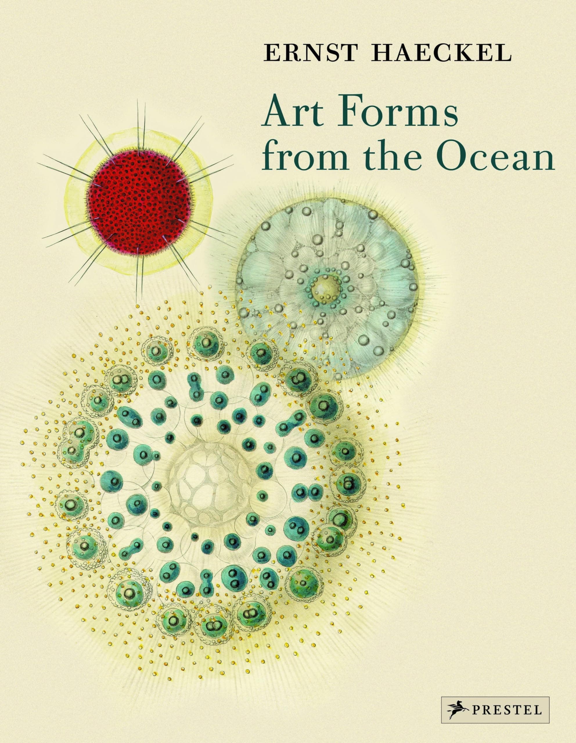Art Forms from the Ocean: The Radiolarian Prints of Ernst Haeckel Paperback – May 28, 2005