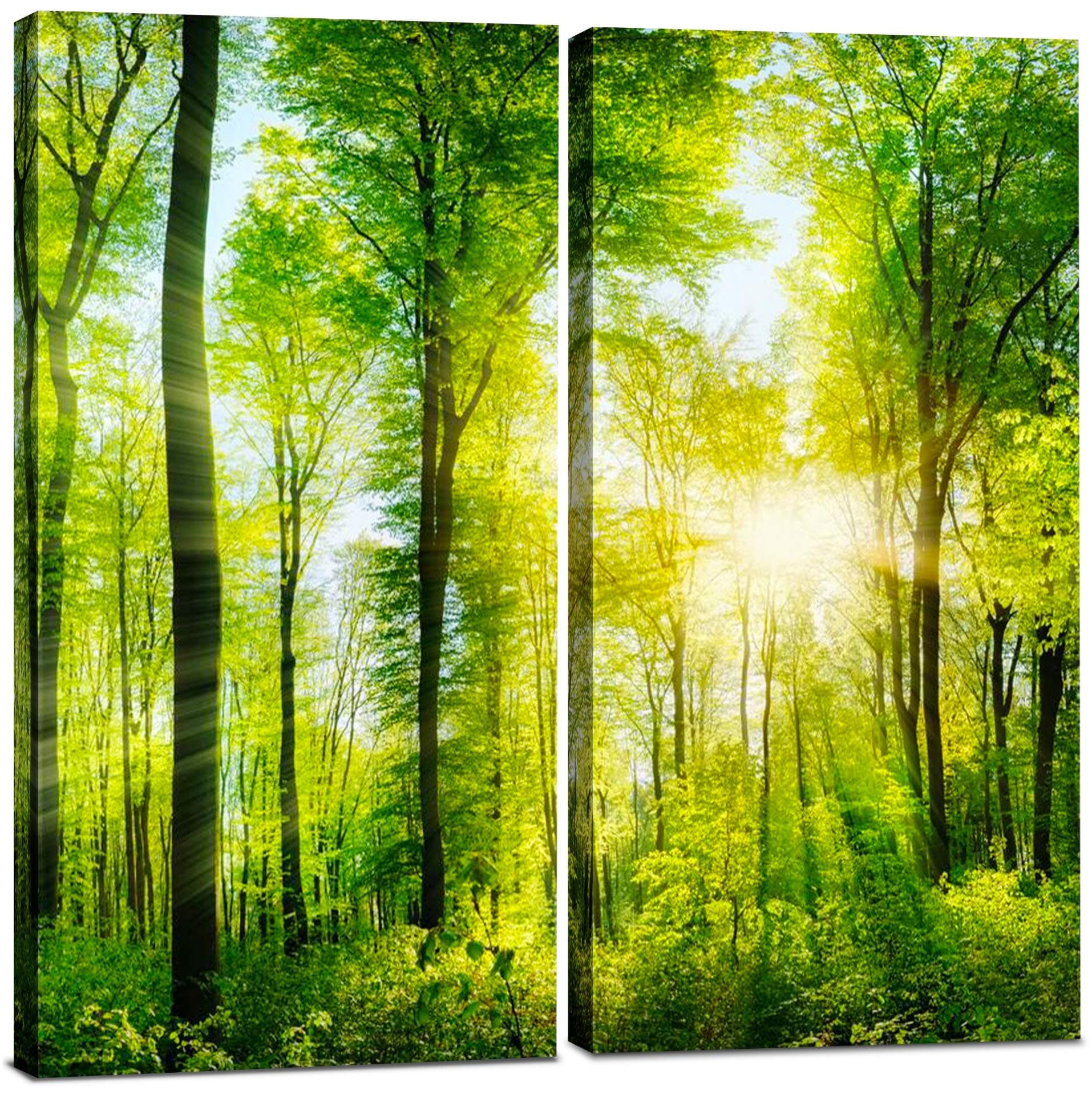 Forest Canvas Wall Art Decor - 24x24 Tree Landscape Picture - 2 Piece Set, Decorative Multi Panel Split Prints for Living Room, Kitchen, Bedroom, Office & Home Decor Gift