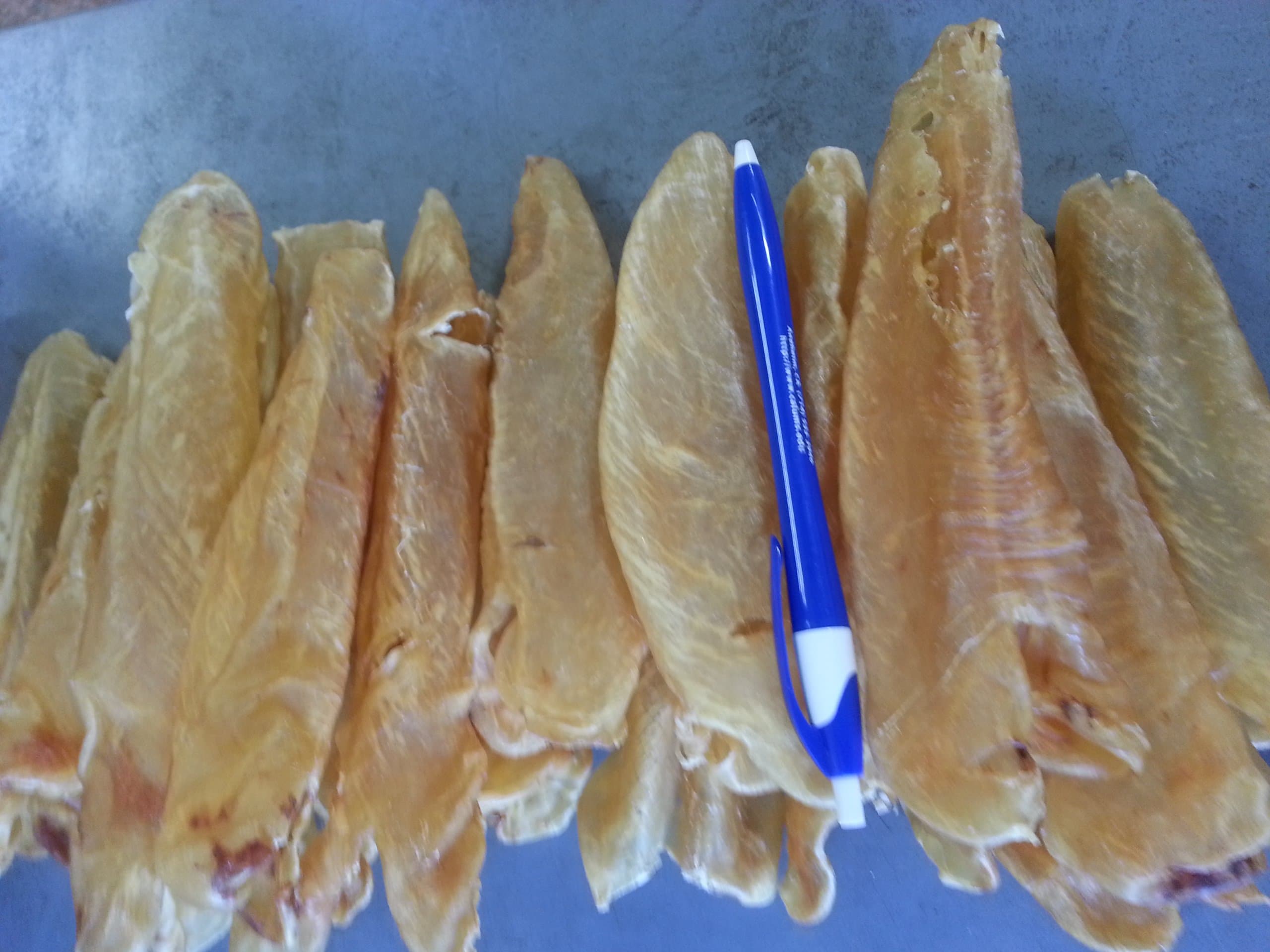 ERLIN Dried Fish Maw Tube From South America 1 Pound Medium size