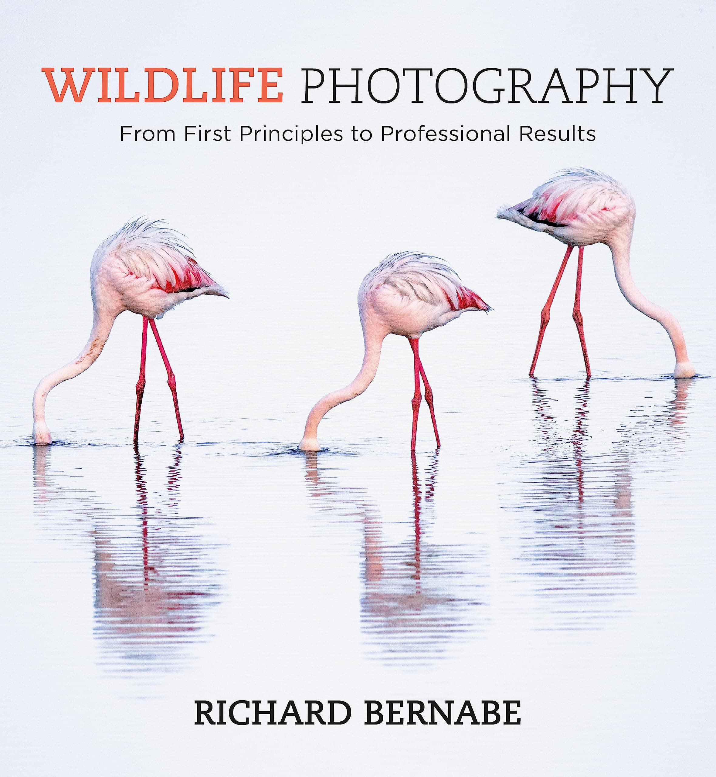 Wildlife Photography: An expert guide Paperback – October 2, 2018