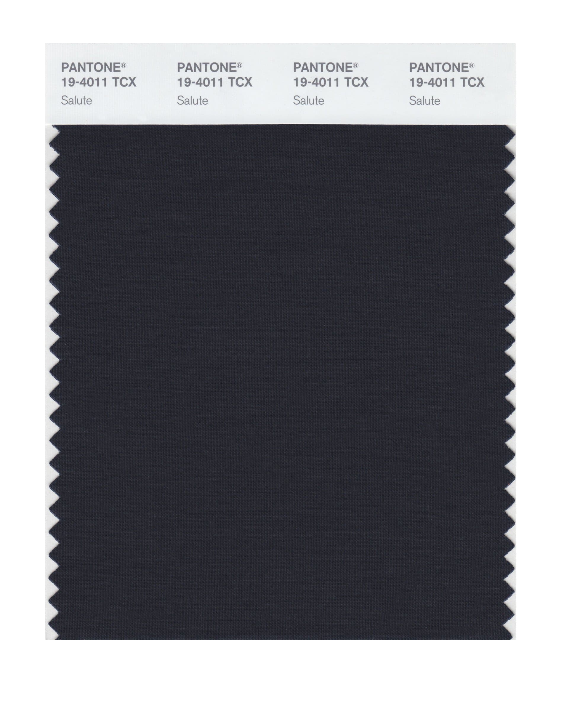 19-4011 TCX Smart Color Swatch Card, Salute