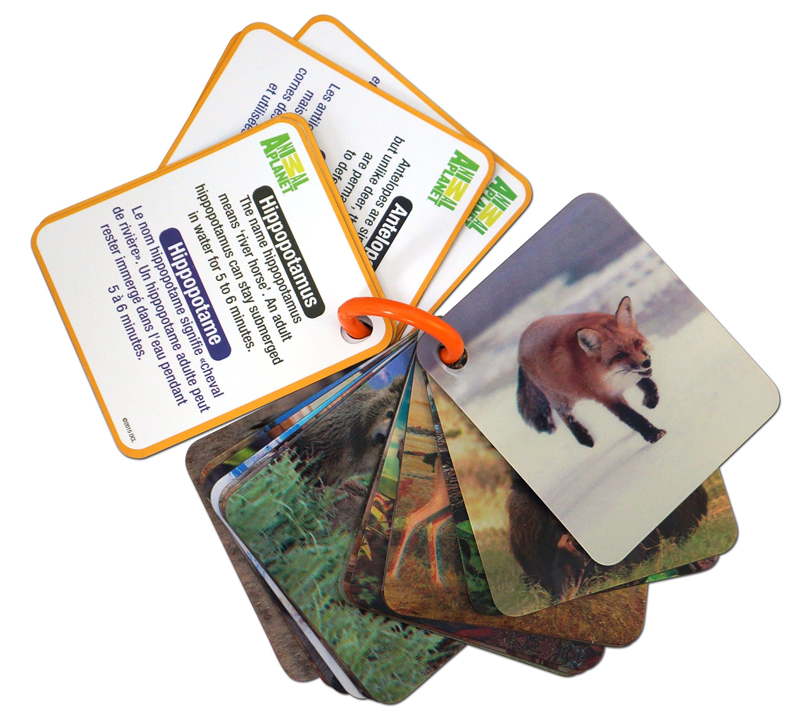 Smart Play Animal Planet 3D Flash Cards - Wild Animals